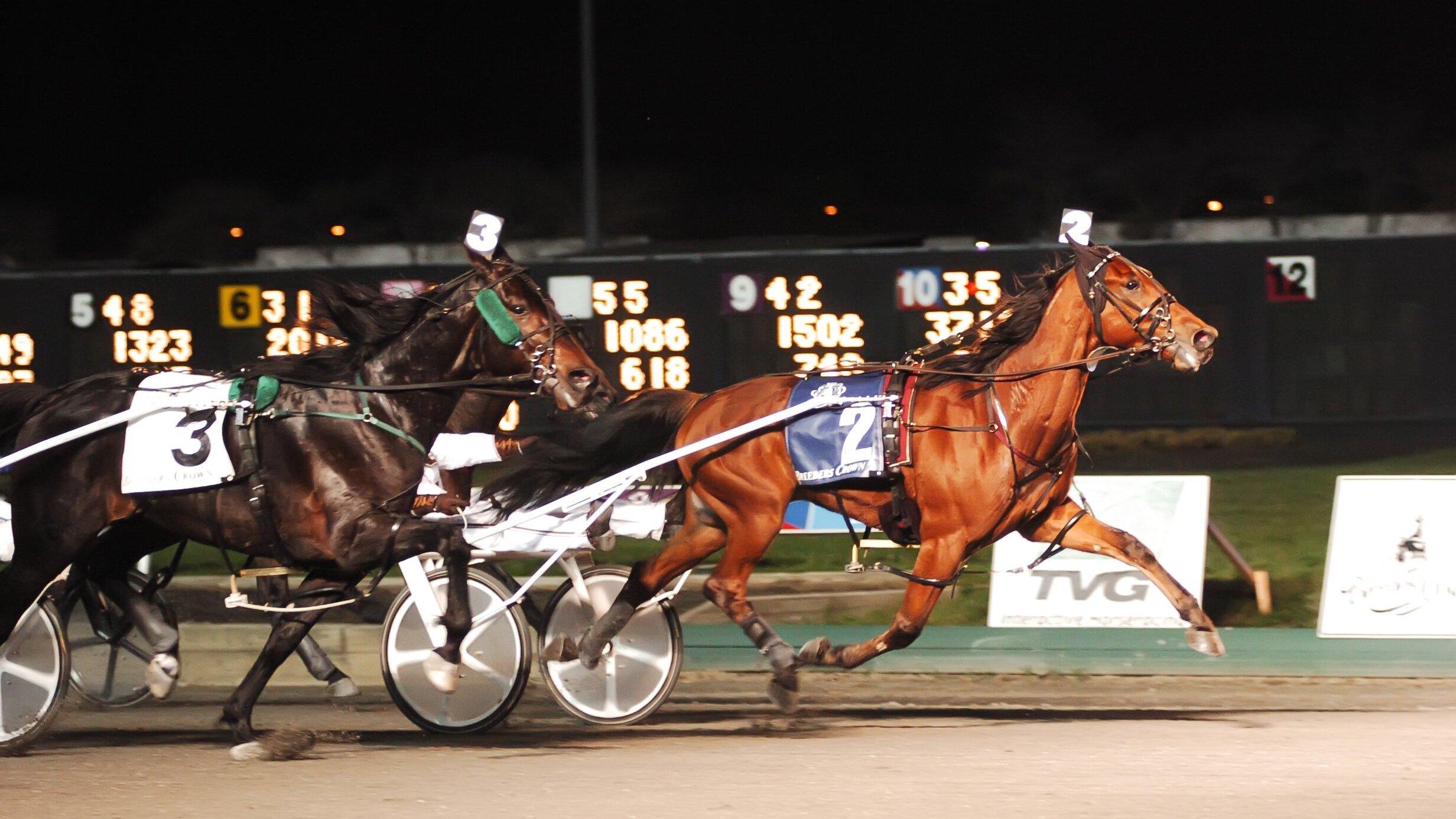 2022 Media Guide — Hambletonian Society Inc