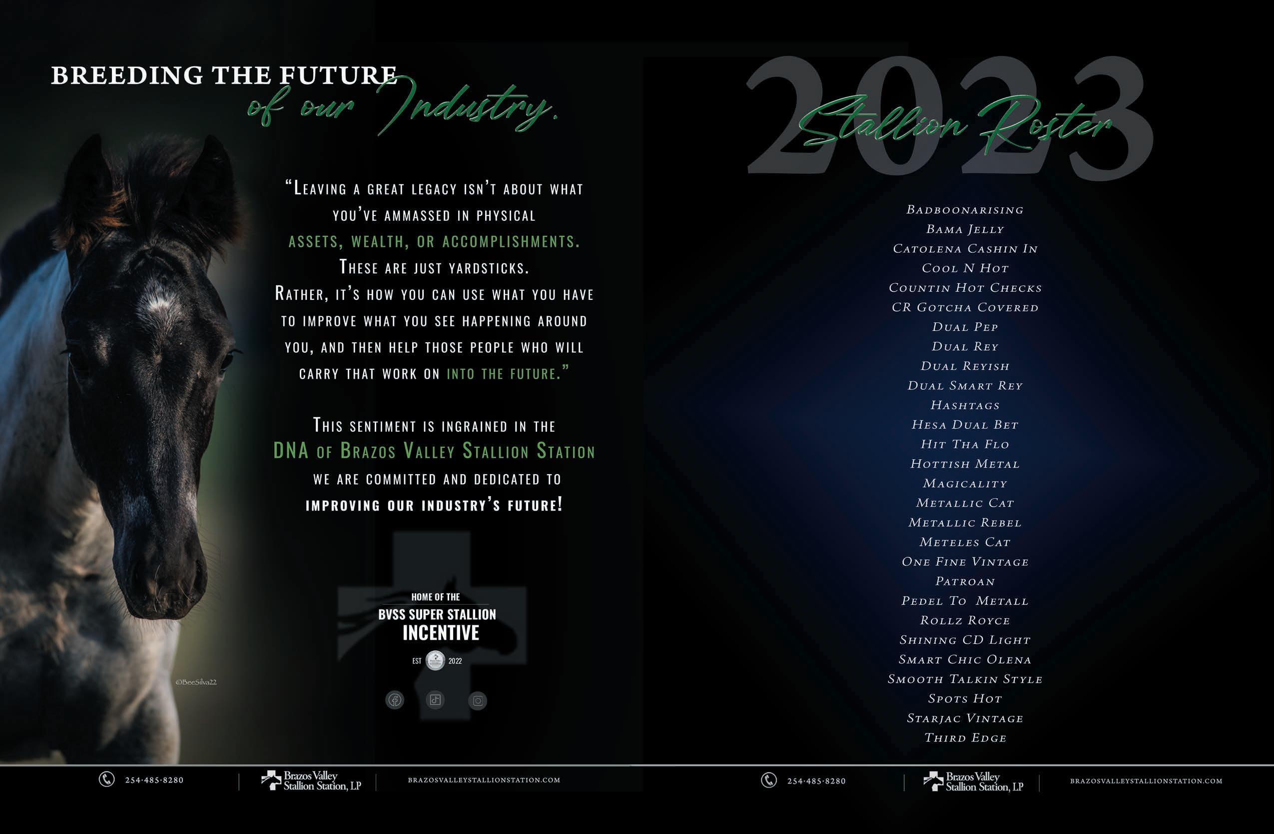 NCHA Cutting Horse Chatter • WINTER 2022 • Vol.75 No.4 by Cowboy ...