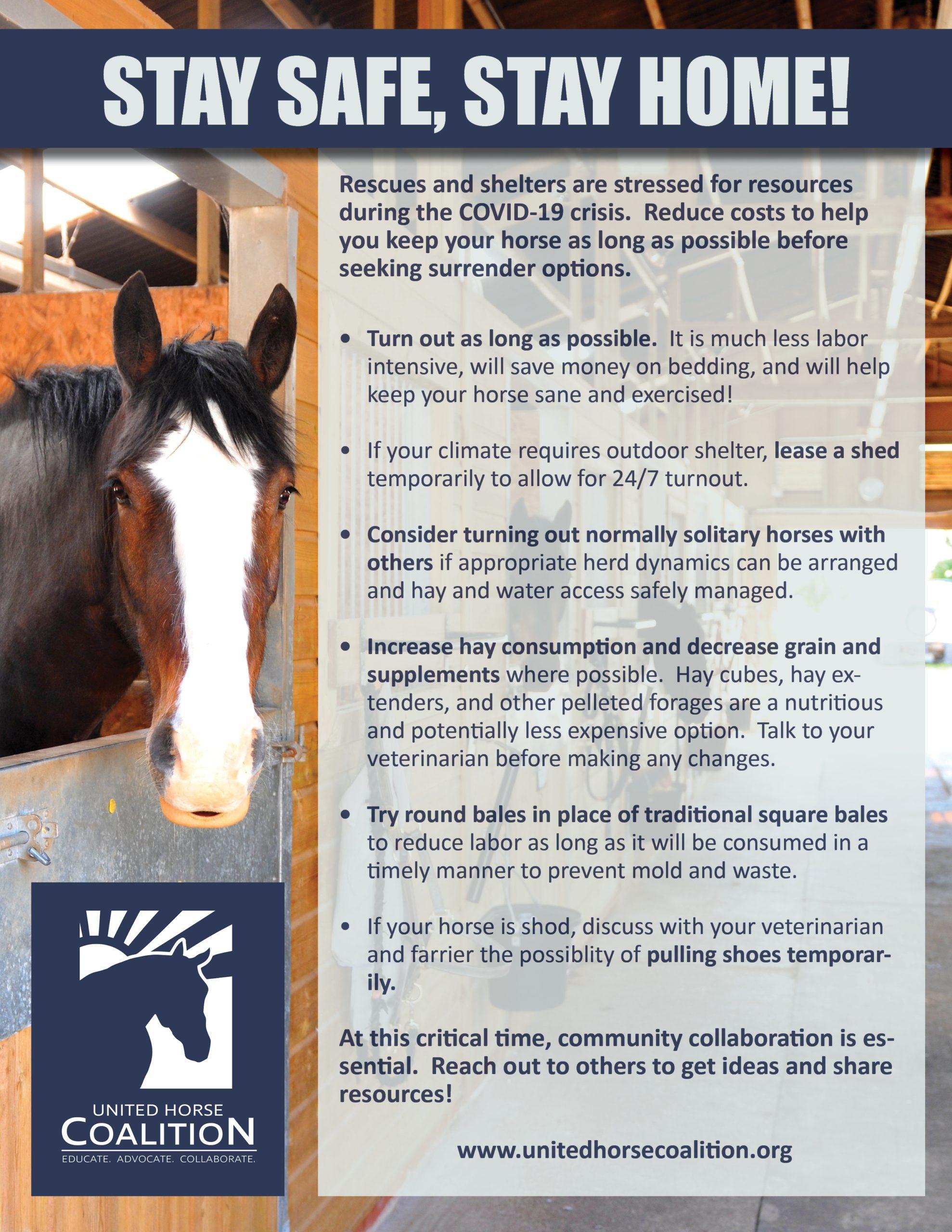 COVID-19 RESOURCES - United Horse Coalition