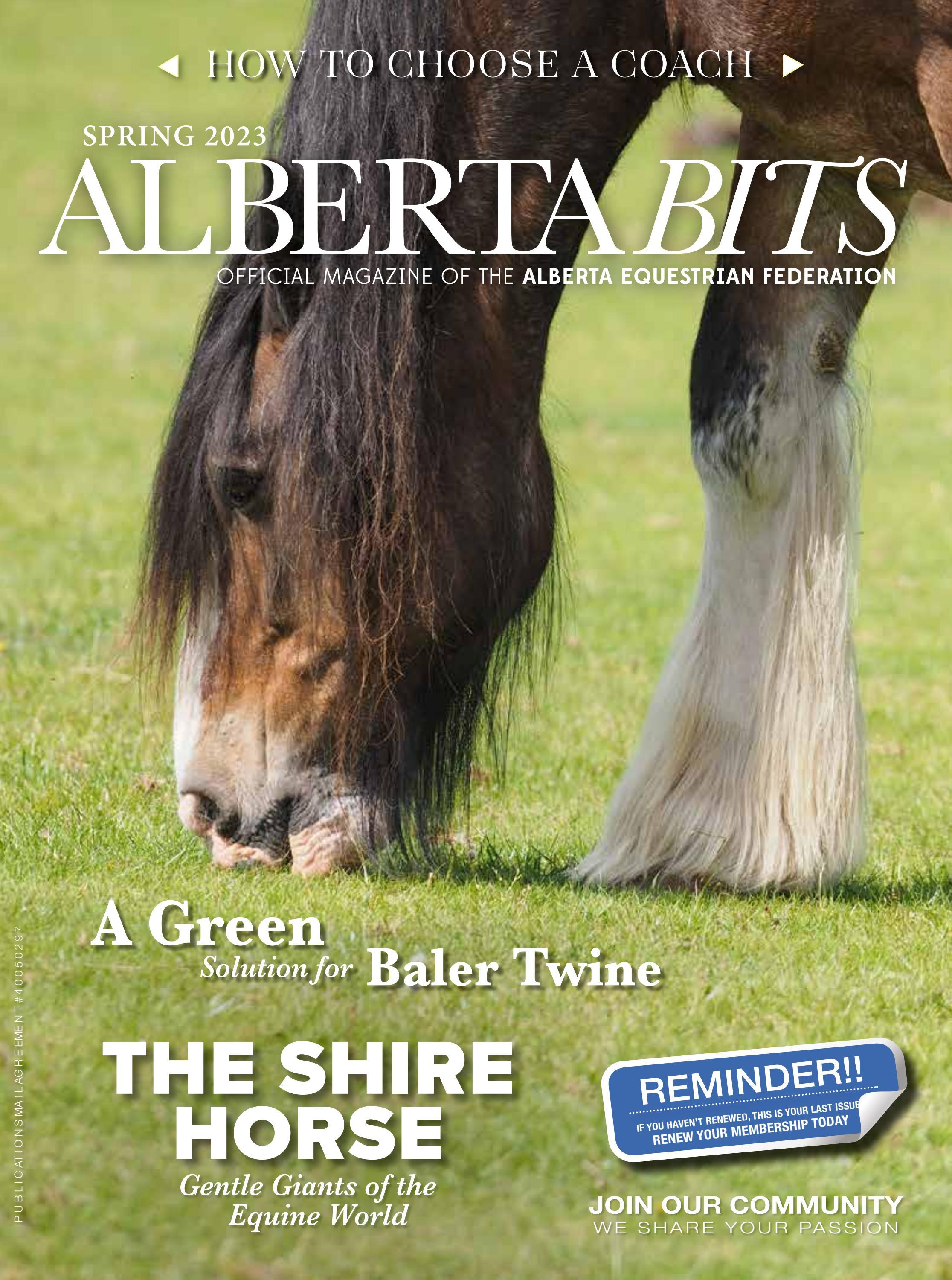 Alberta Bits: Spring 2023 Edition by Alberta Bits - Issuu