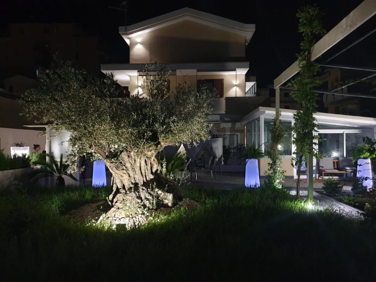 Studio Terrace