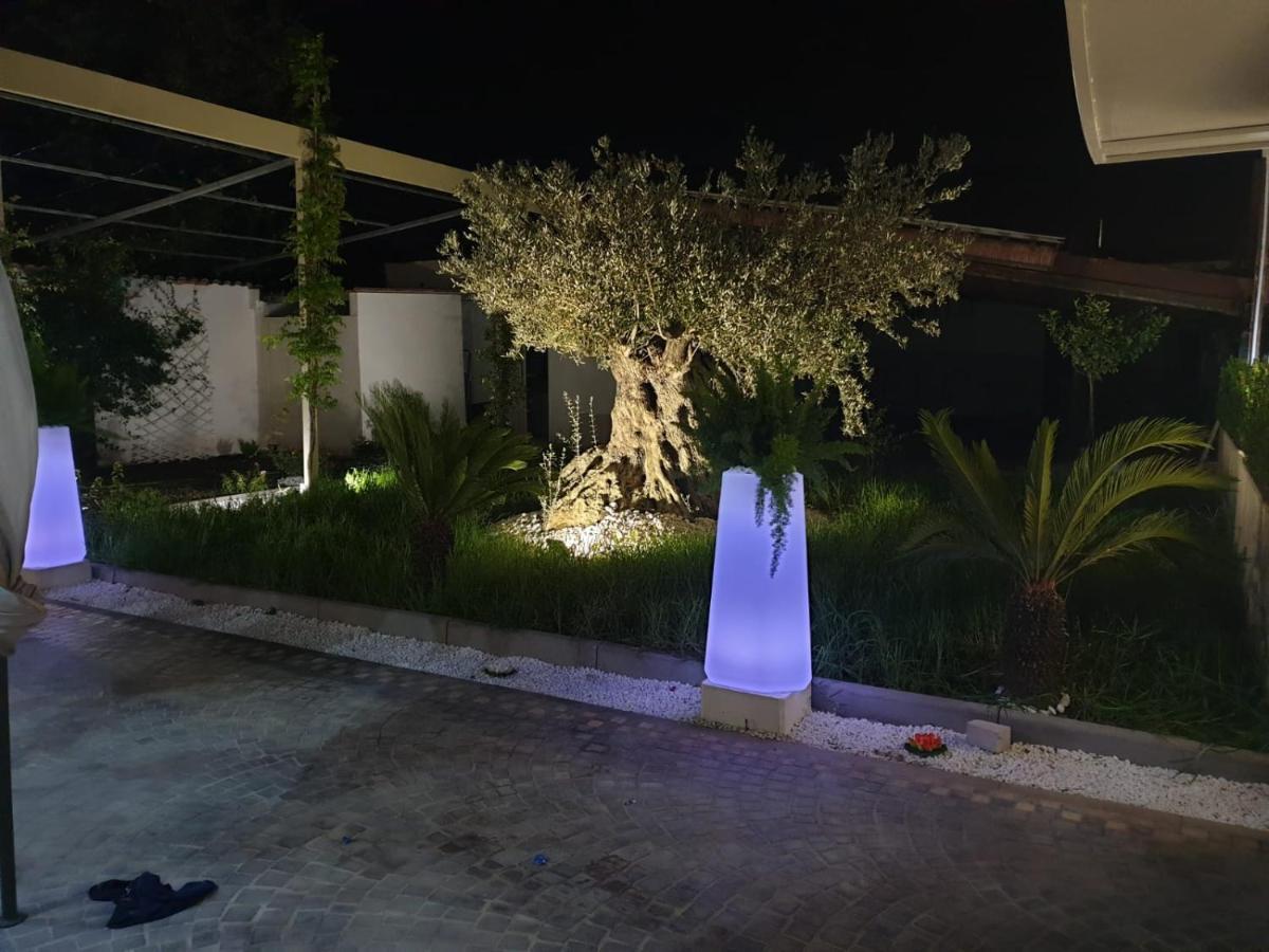 Studio Terrace