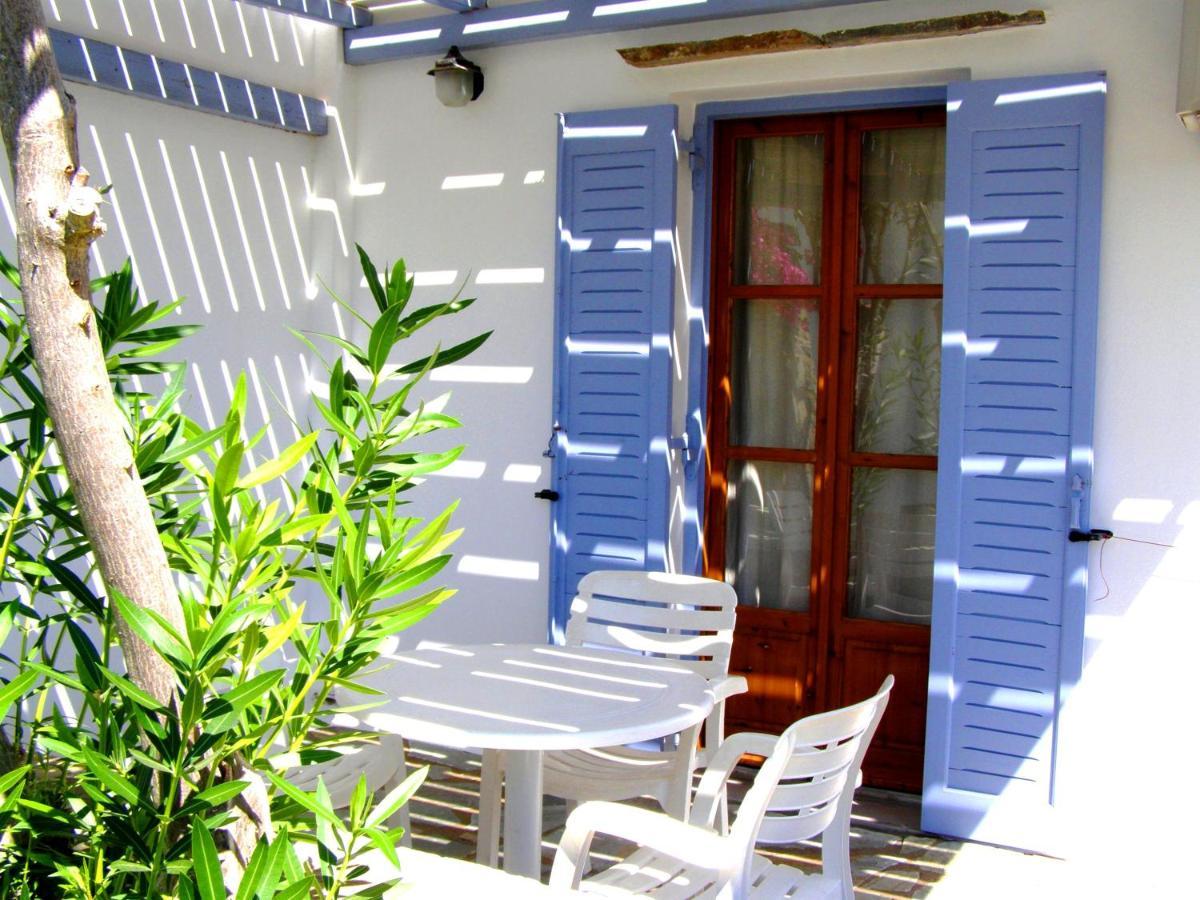 Double Studio Garden View