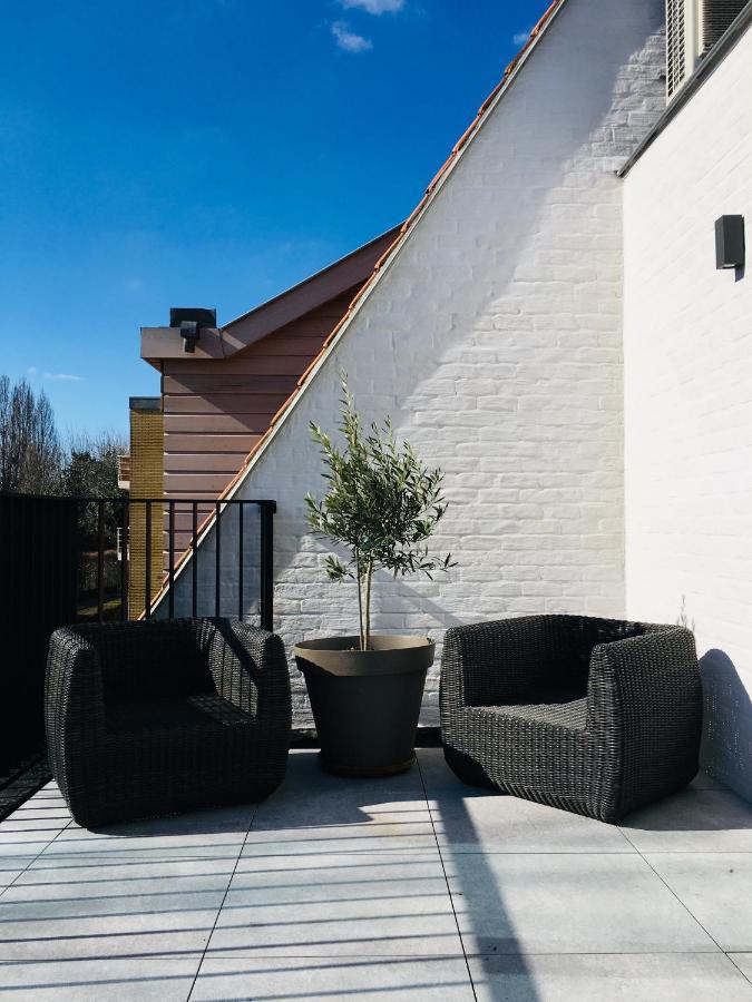 Suite Terrace
