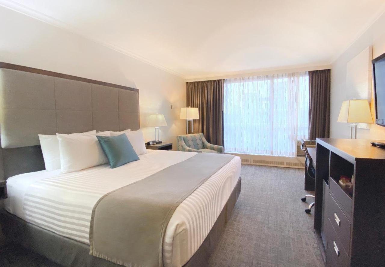 Premium King Room Sofa Bed Non-Smoking