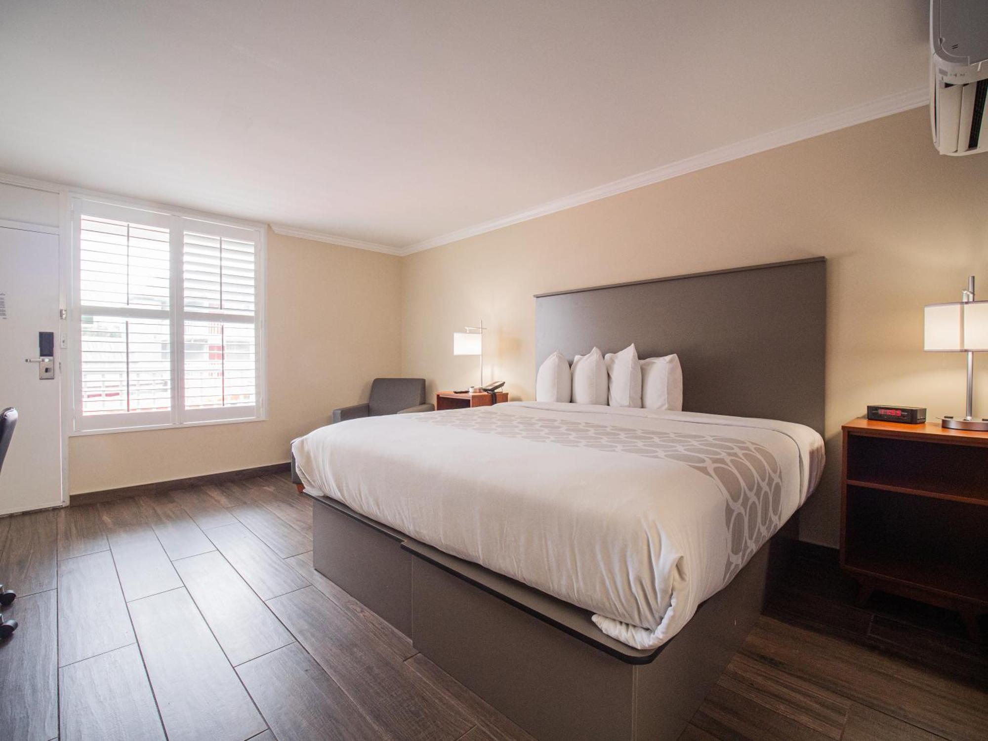 Economy Single Room