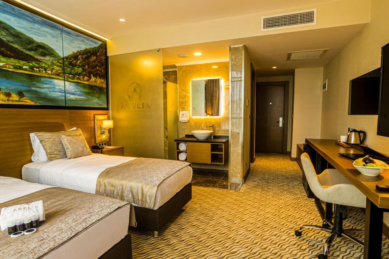Deluxe King Room City View