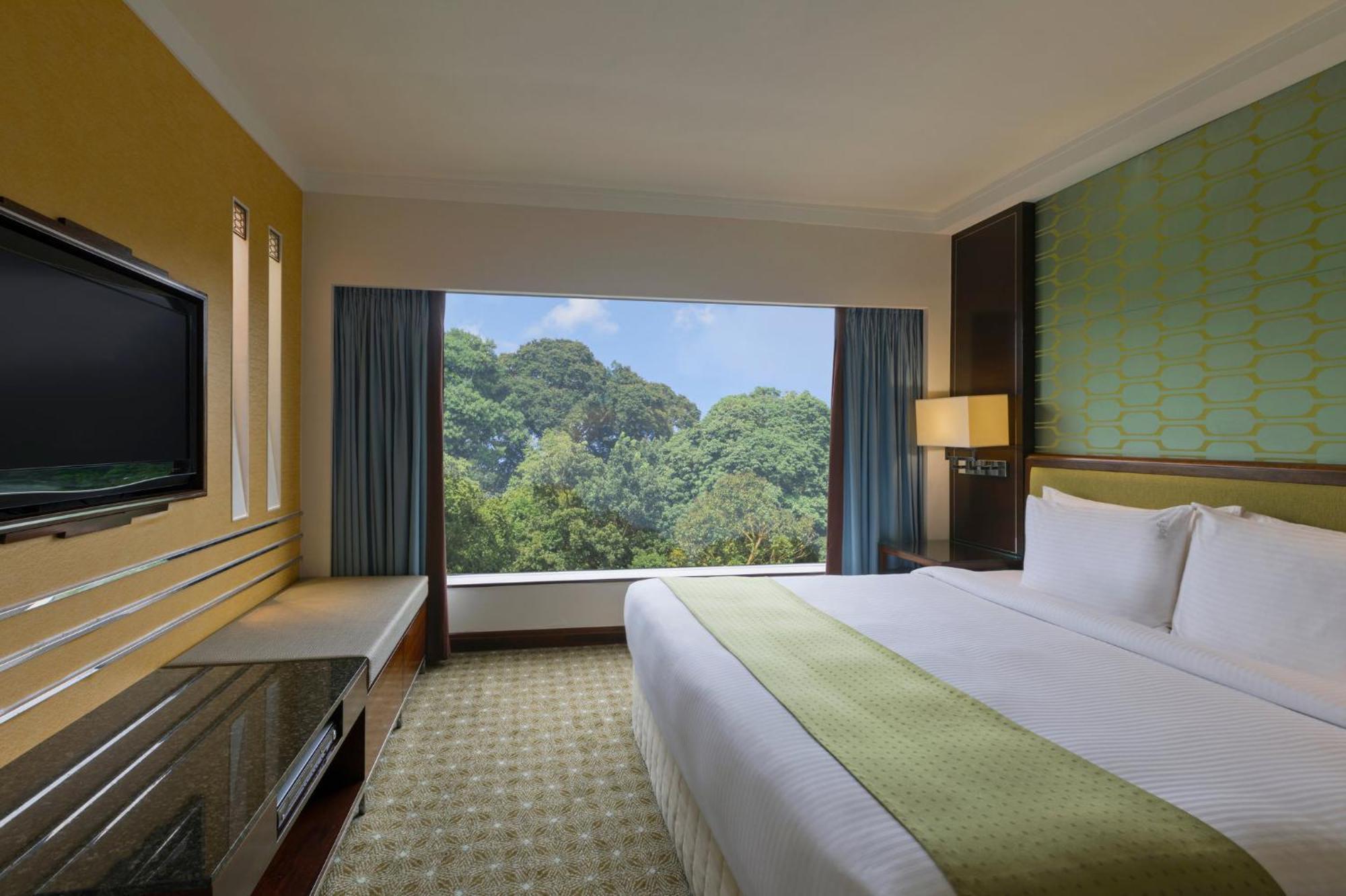 Standard King Room,1277447230:JPEG