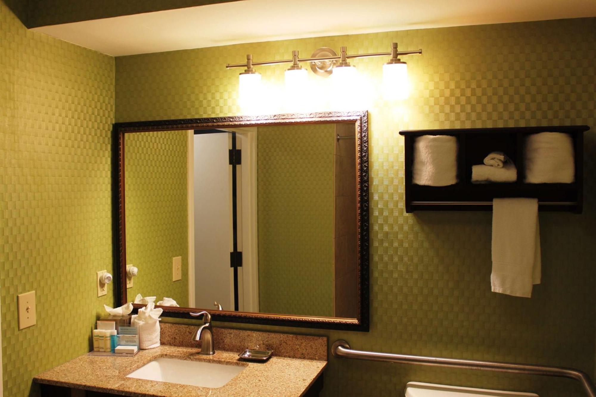 King Room with Roll-In Shower - Mobility Access/Non-Smoking
