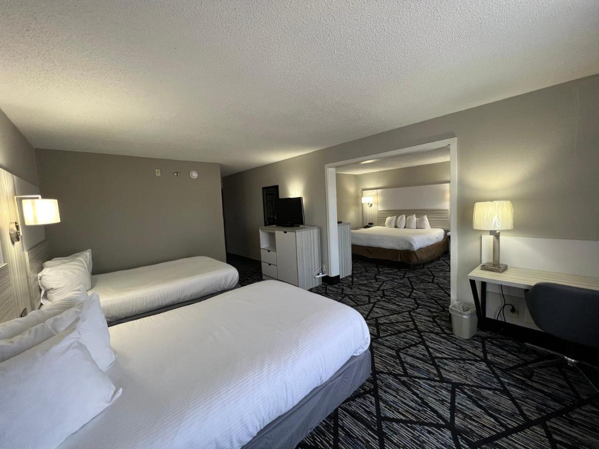2 Double Beds 1 King Bed Studio Suite Non-Smoking