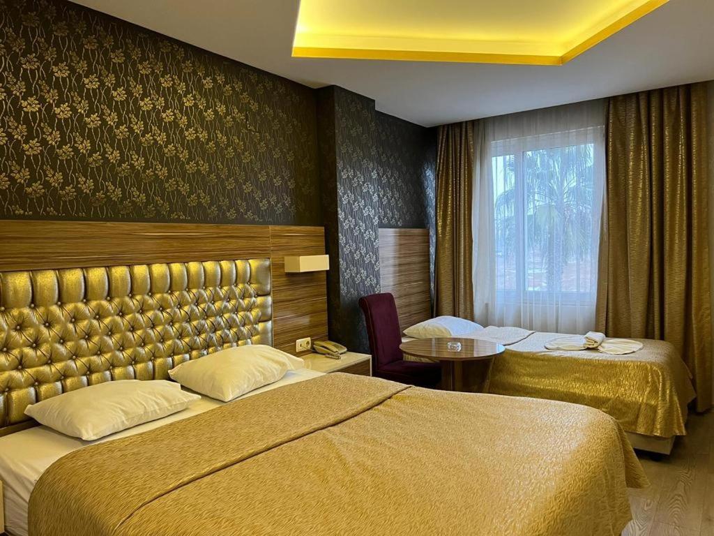 Standard Double Room,1341298079:JPEG