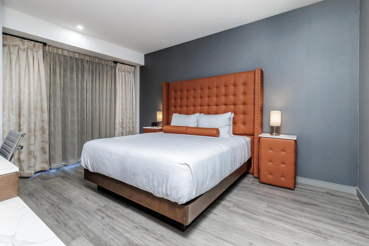 One-Bedroom King Suite Sofa Bed