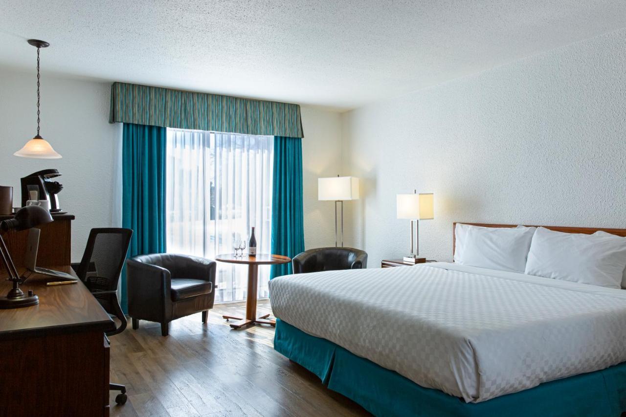 Standard King Room,1384962191:JPEG