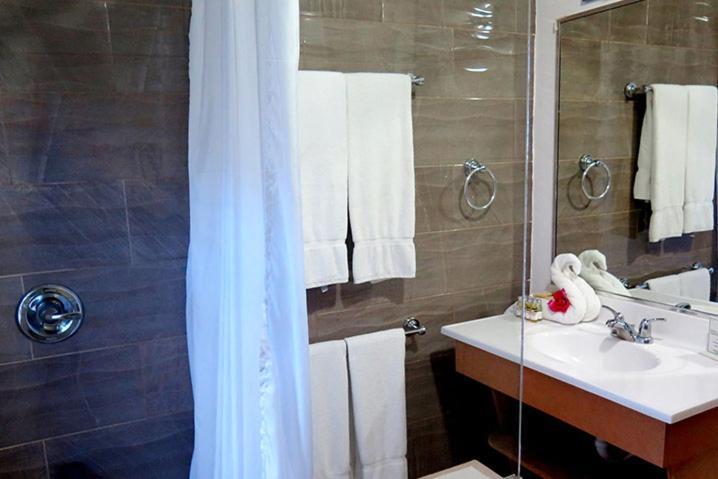 Family Room with Garden View,1428519454:JPEG