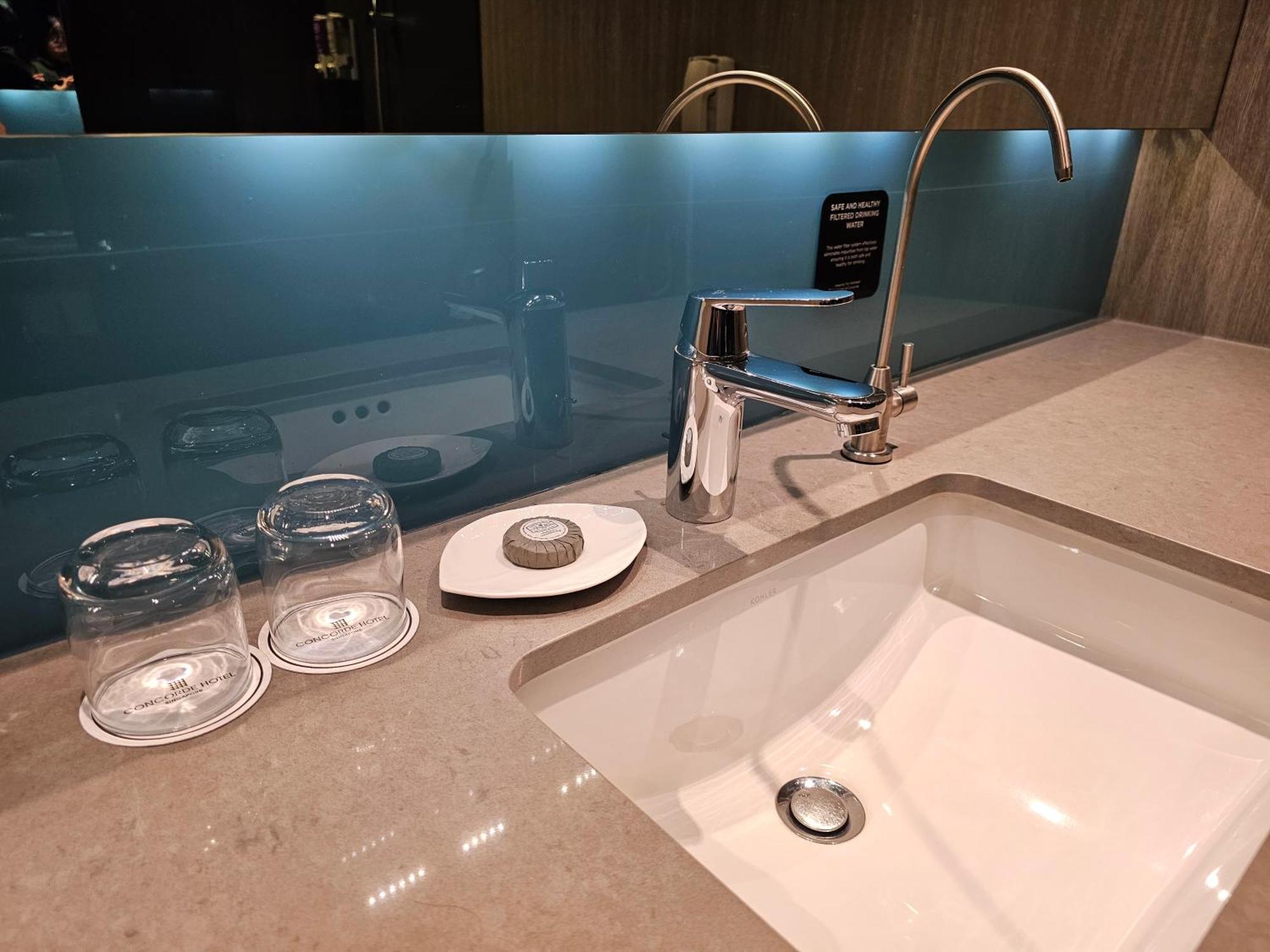 Deluxe Plus Double or Twin Room
