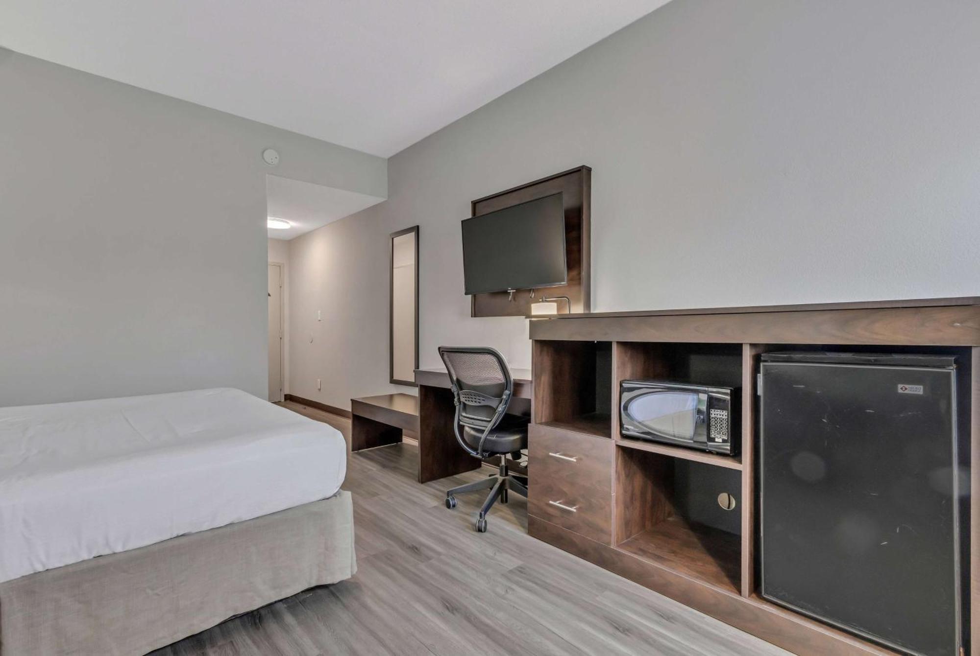 King Room Accessible Roll-In Shower - Non-Smoking - Ground Floor,1407170357:JPEG