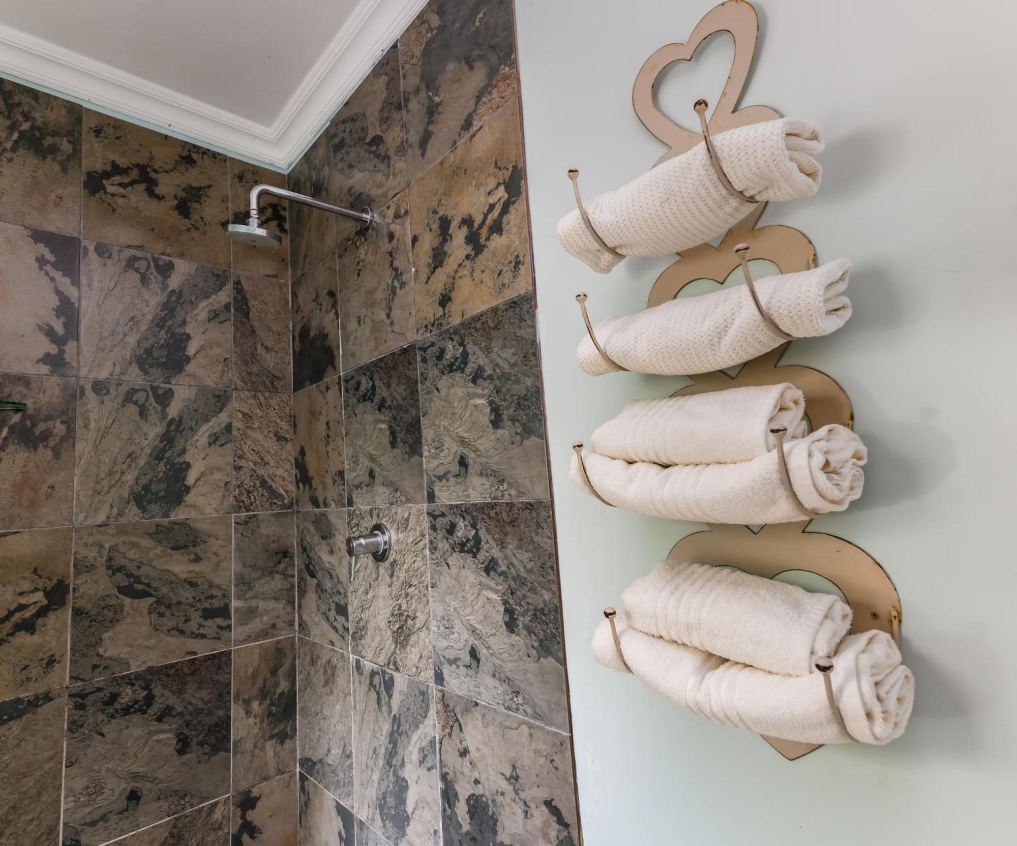 Luxury Double or Twin Room Shower 3 Oranje Nassau Street