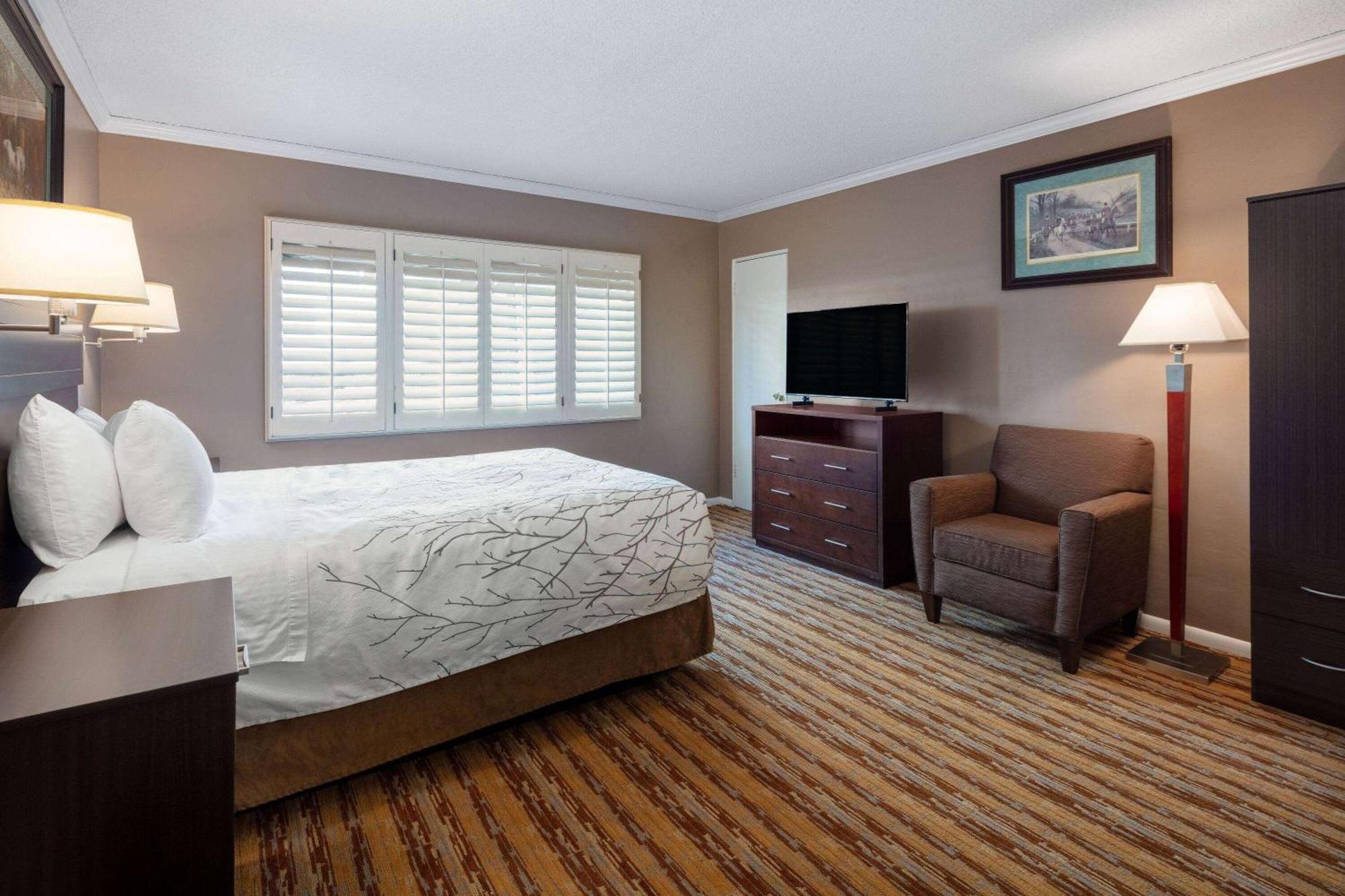 King Room with City View - Non-Smoking,1542992095:JPEG