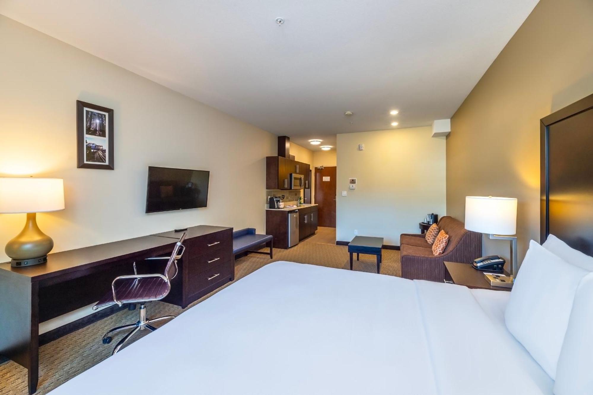 Deluxe King Suite Non-Smoking