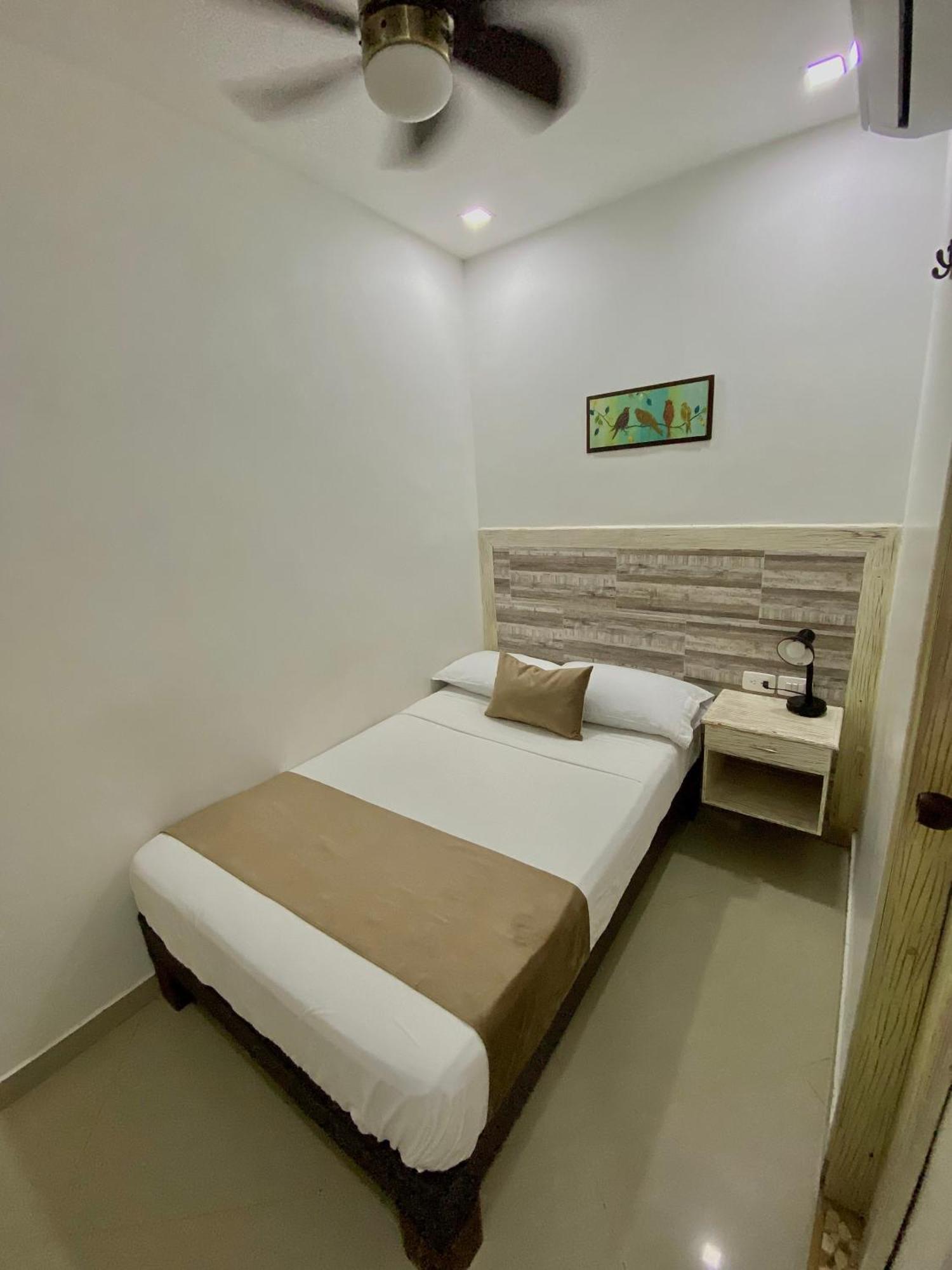 Basic Single Room