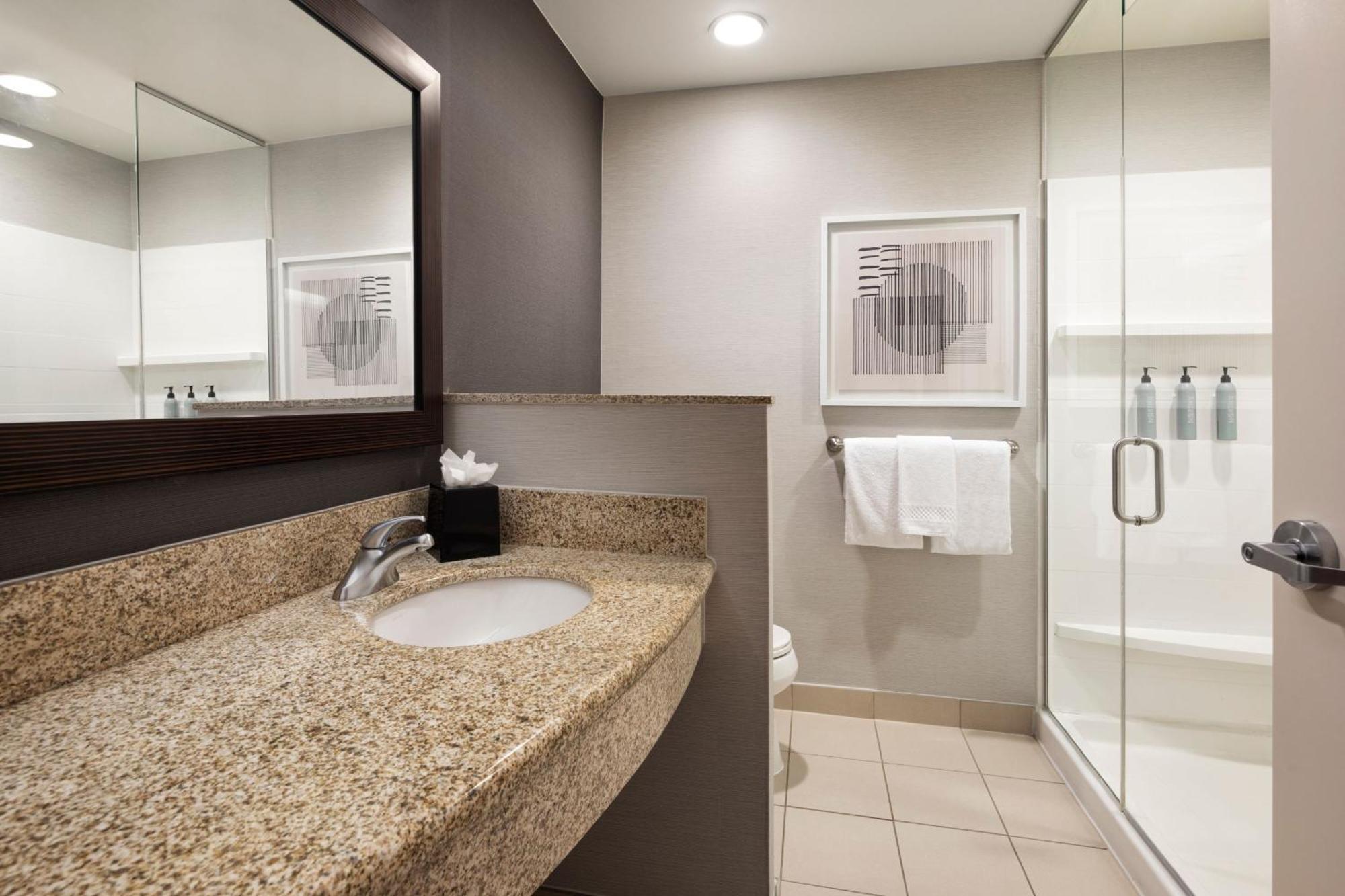 King Room Bathtub Sofa Bed Mobility Access or Hearing Accessible