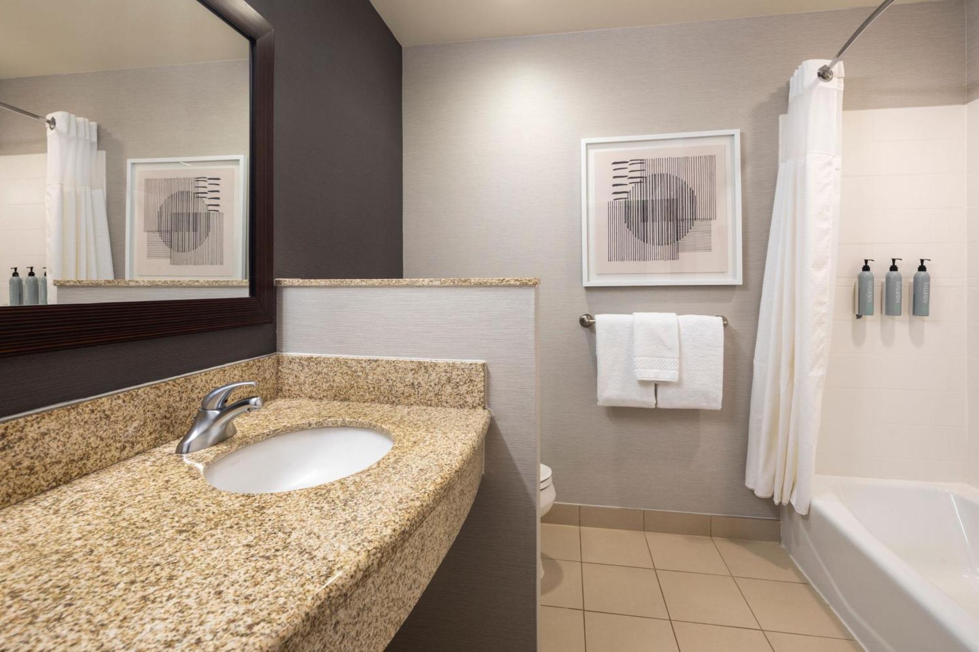 King Room Bathtub Sofa Bed Mobility Access or Hearing Accessible