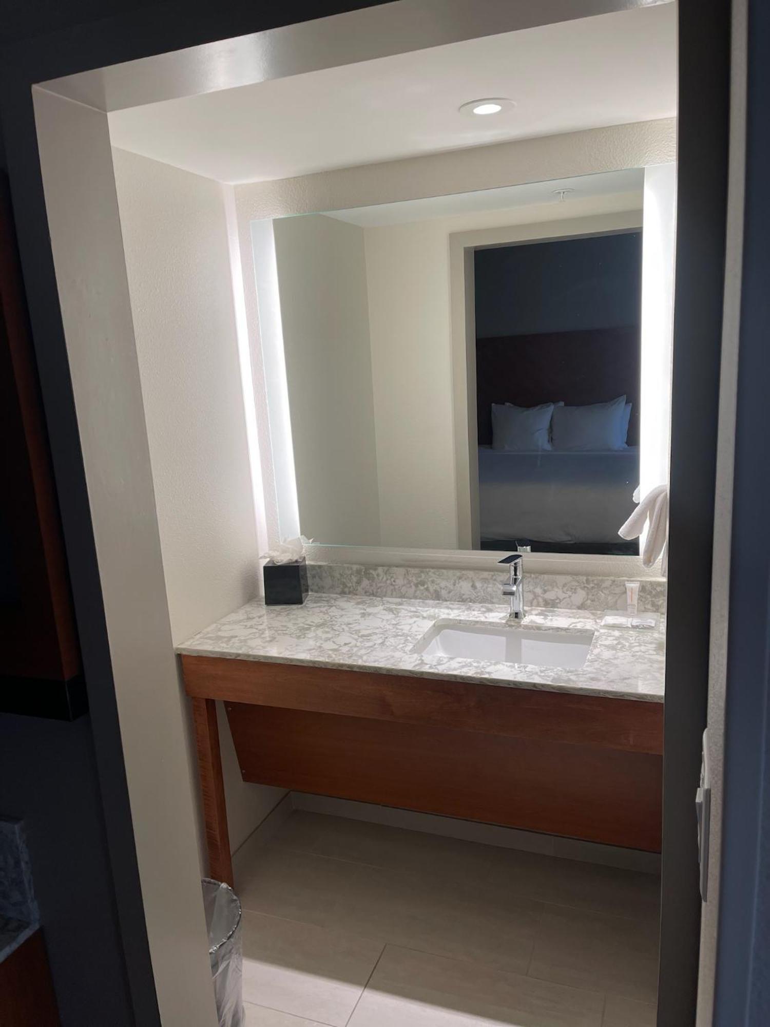 King Room Sofa Bed Accessible Tub