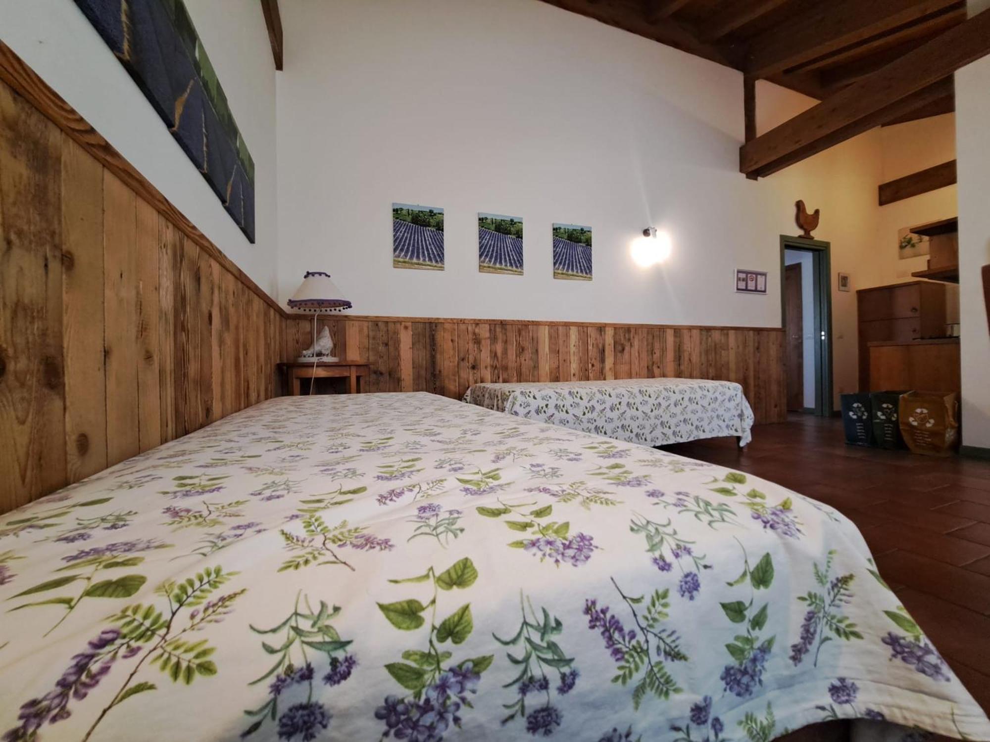 Appartement 1 Chambre