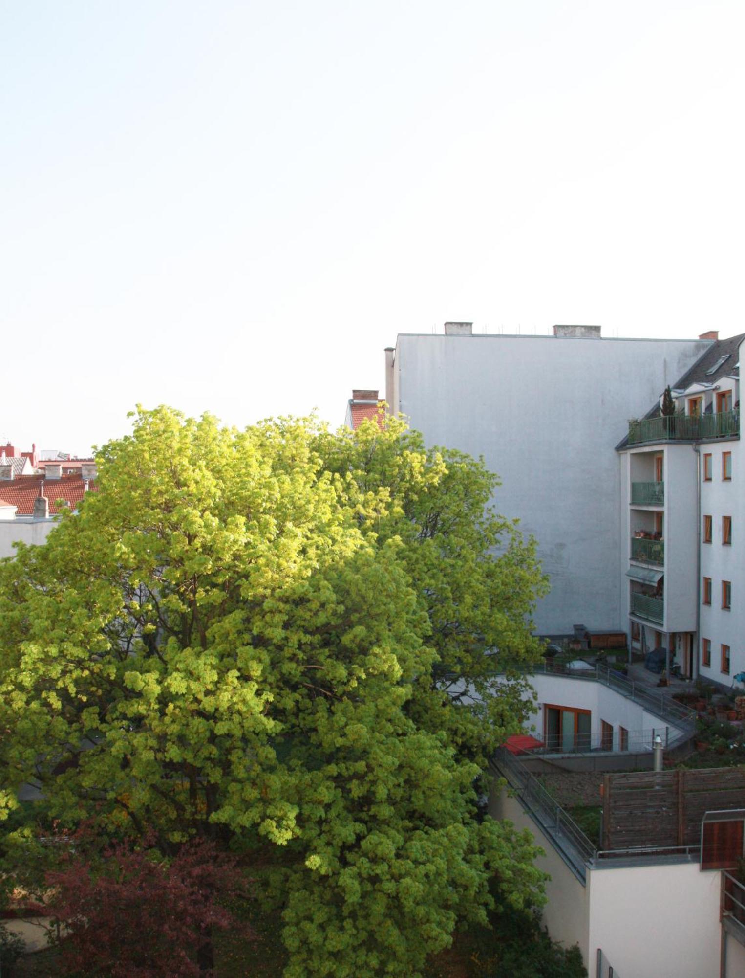 City Garden Room