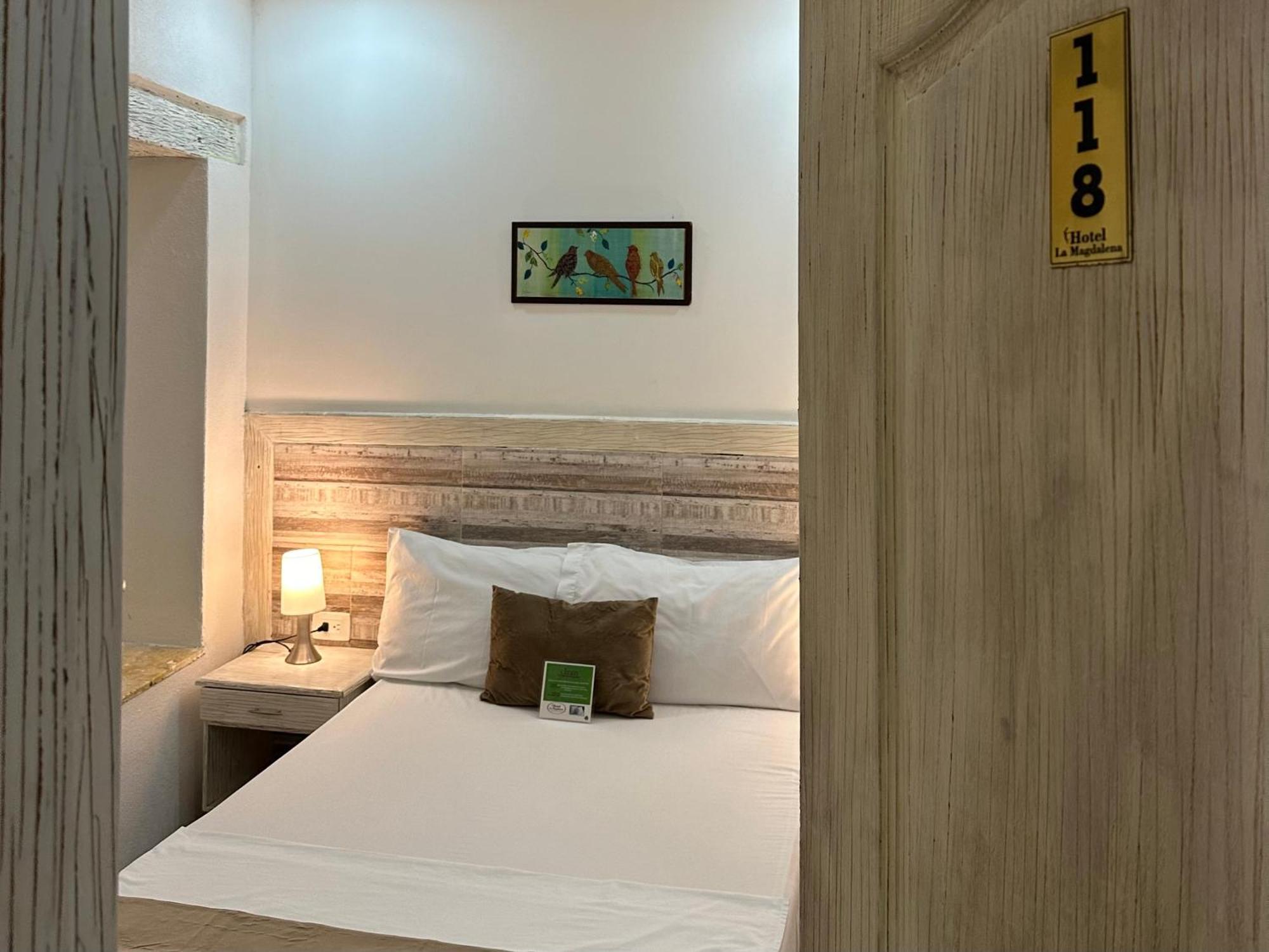Basic Single Room
