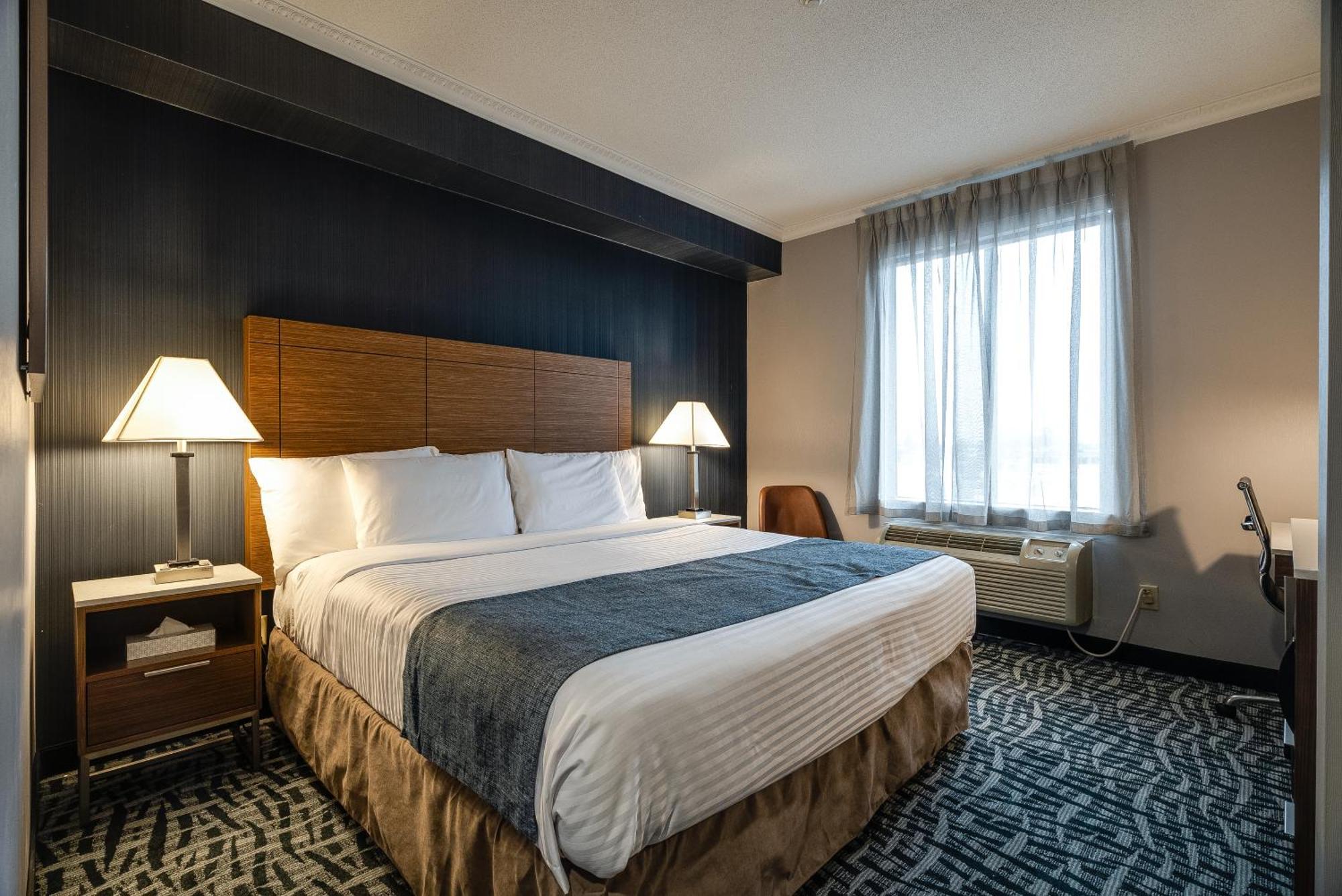 Standard room 1 king bed