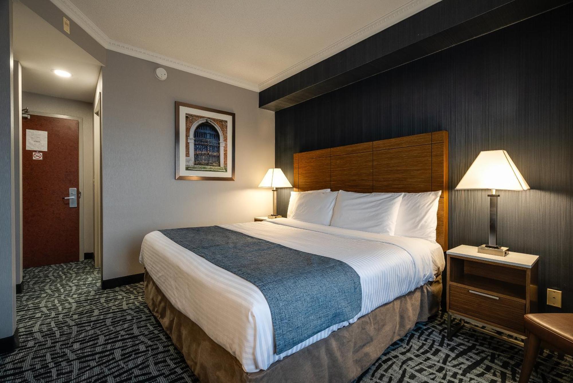 Standard room 1 king bed
