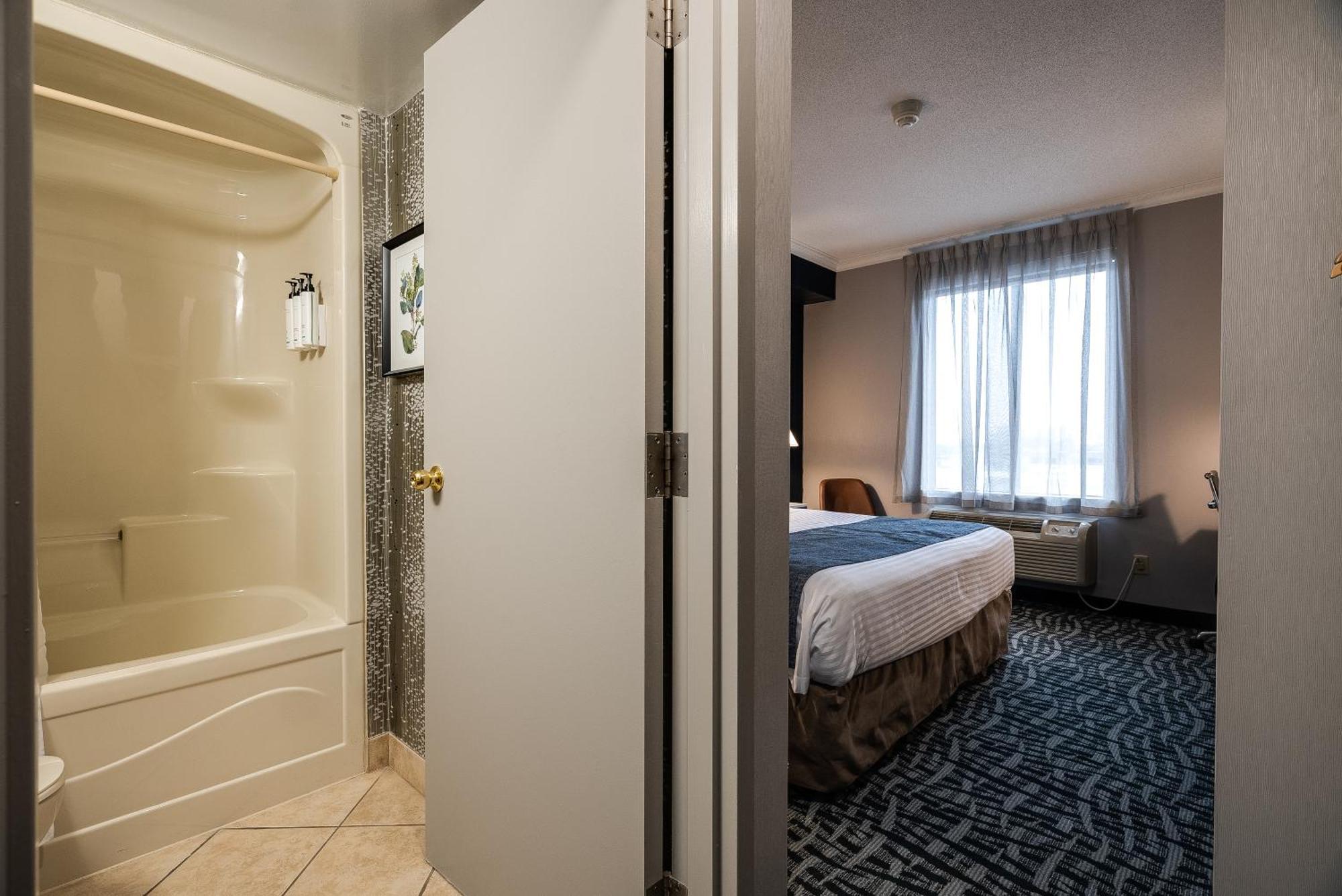 Standard room 1 king bed