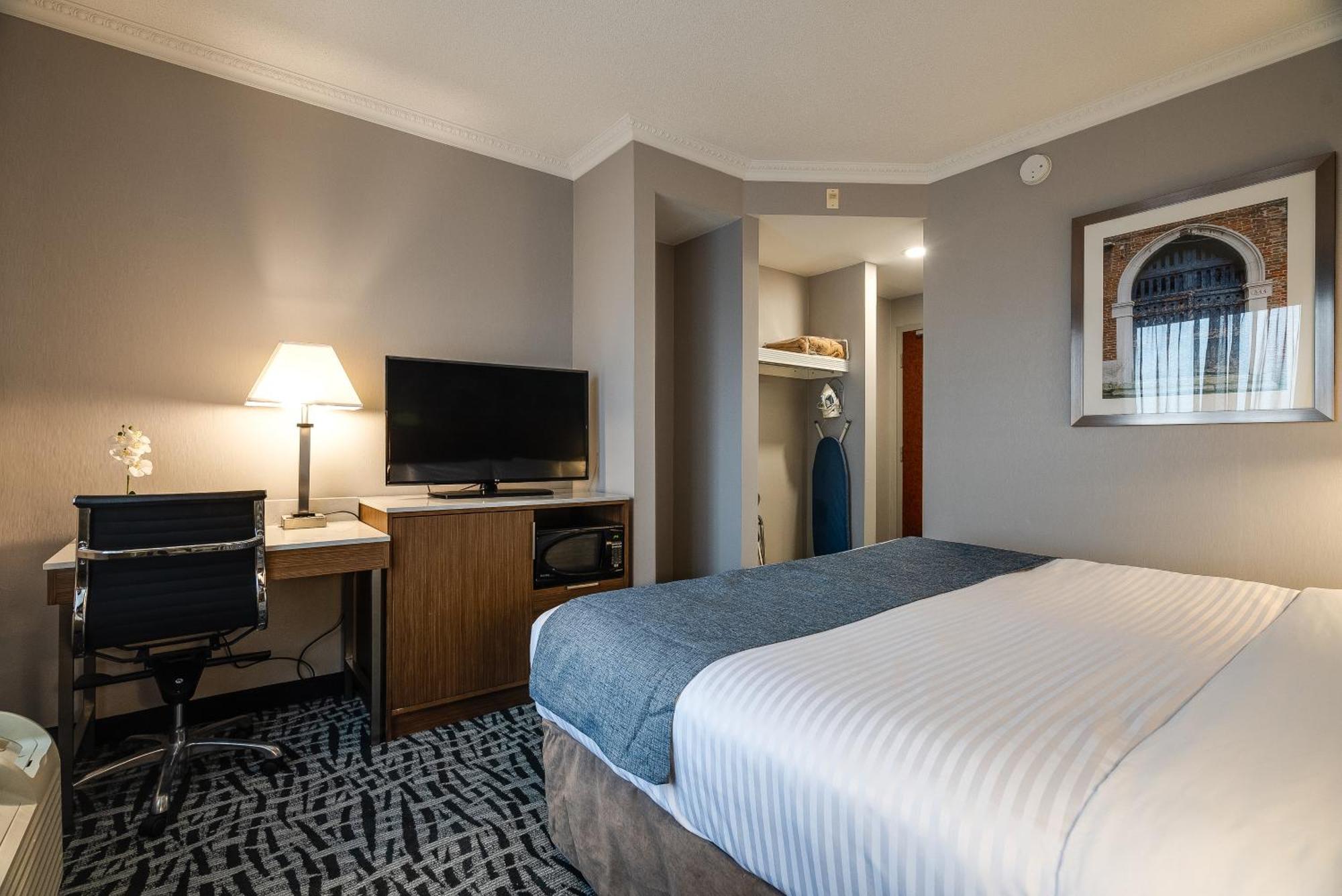 Standard room 1 king bed