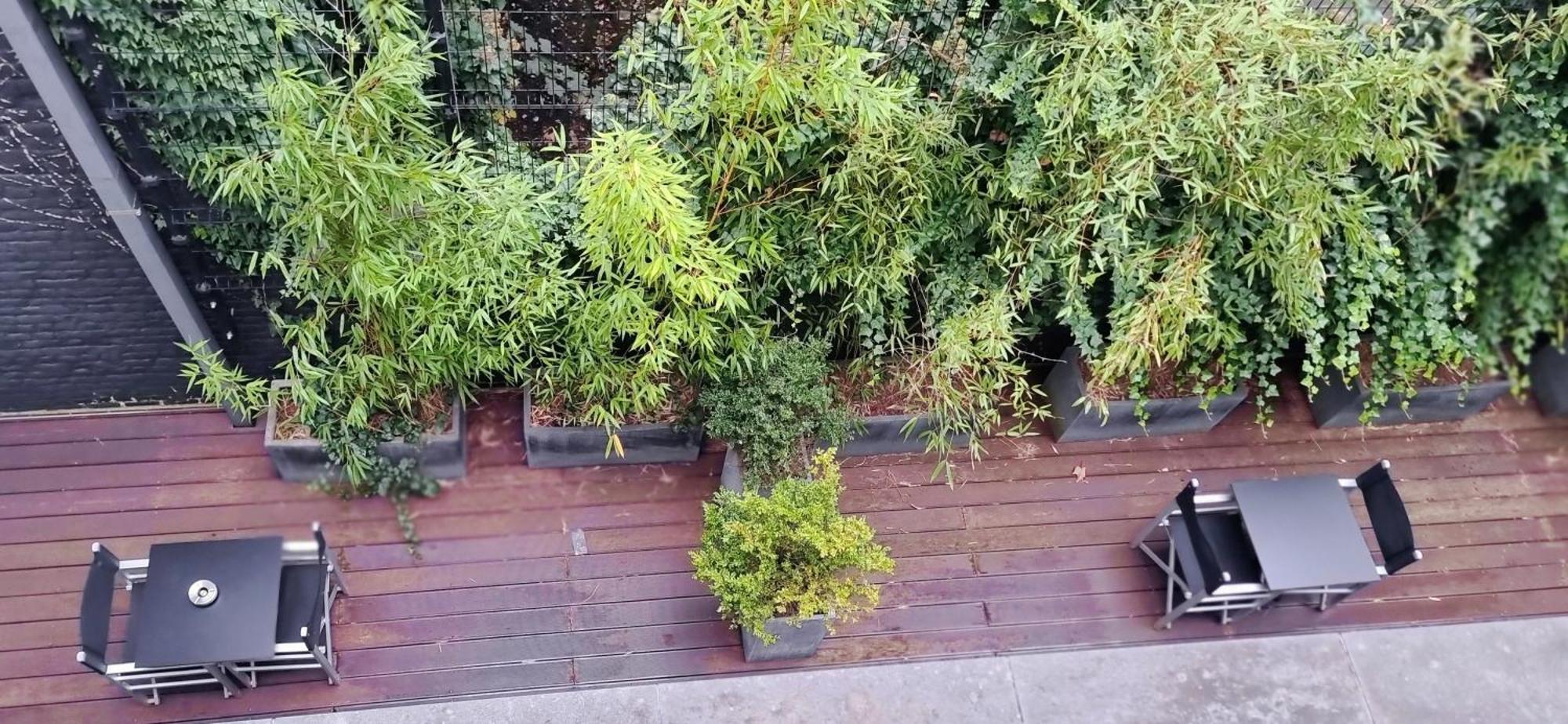 Quadruple Room Balcony