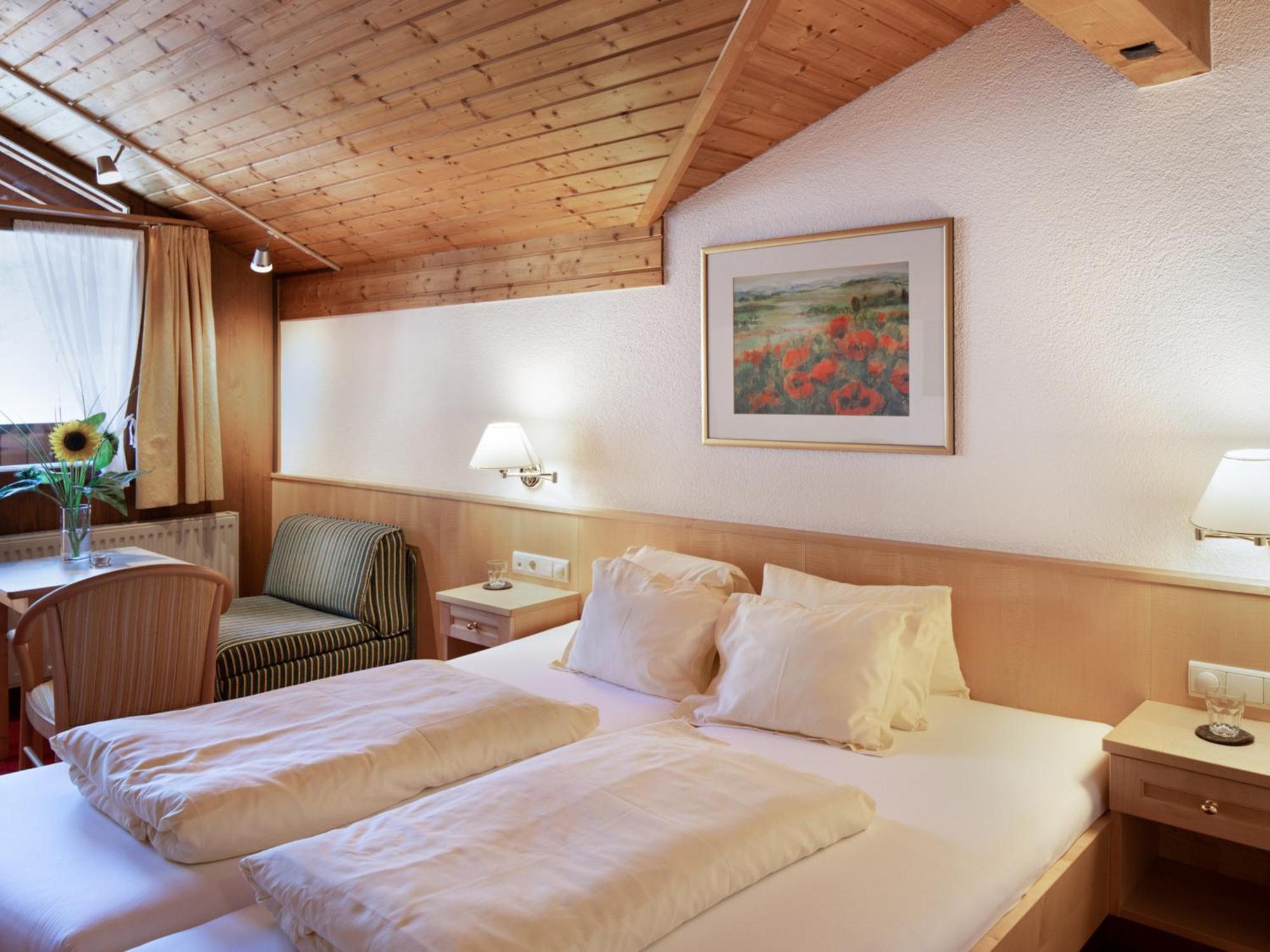 Double Room Balcony Mountain View