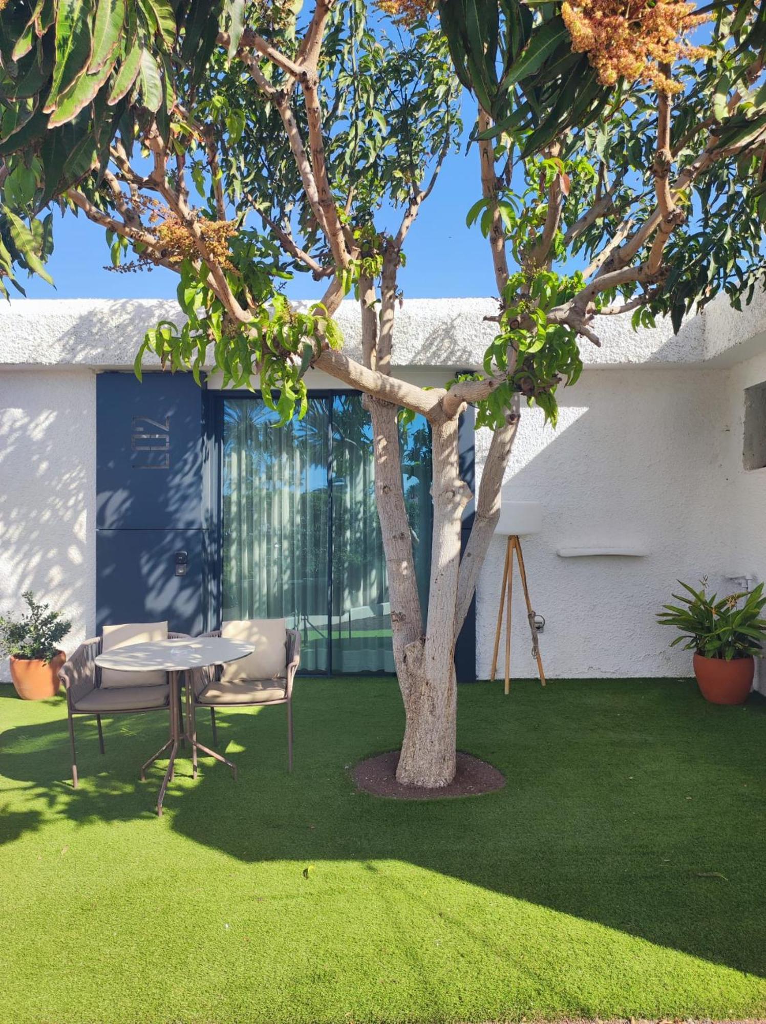 Studio with Garden View