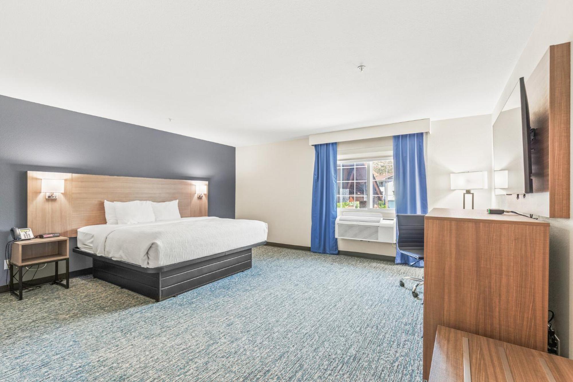 Efficiency King Suite with Sofa Bed - Non Smoking,1697863126:JPEG