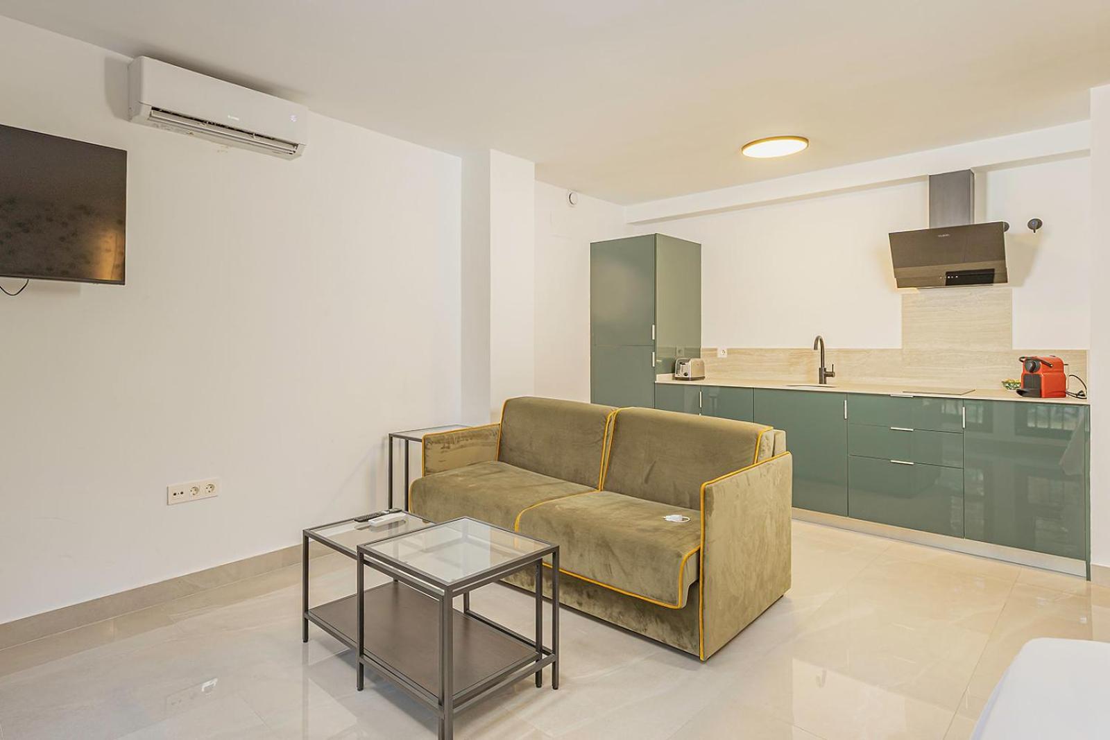 Deluxe Apartment