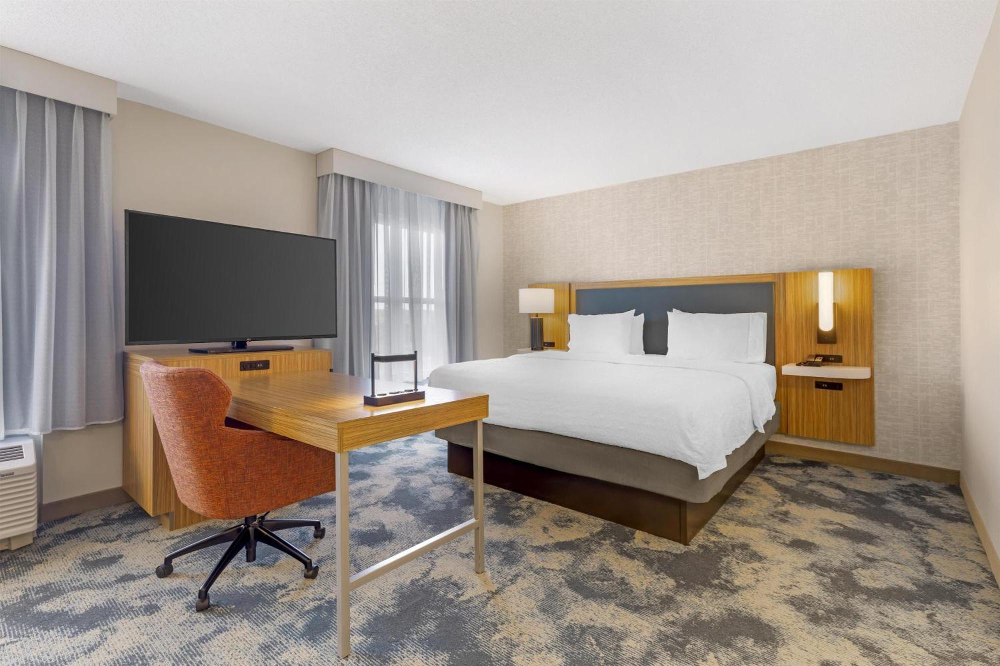King Studio Suite with Sofa Bed - Non-Smoking