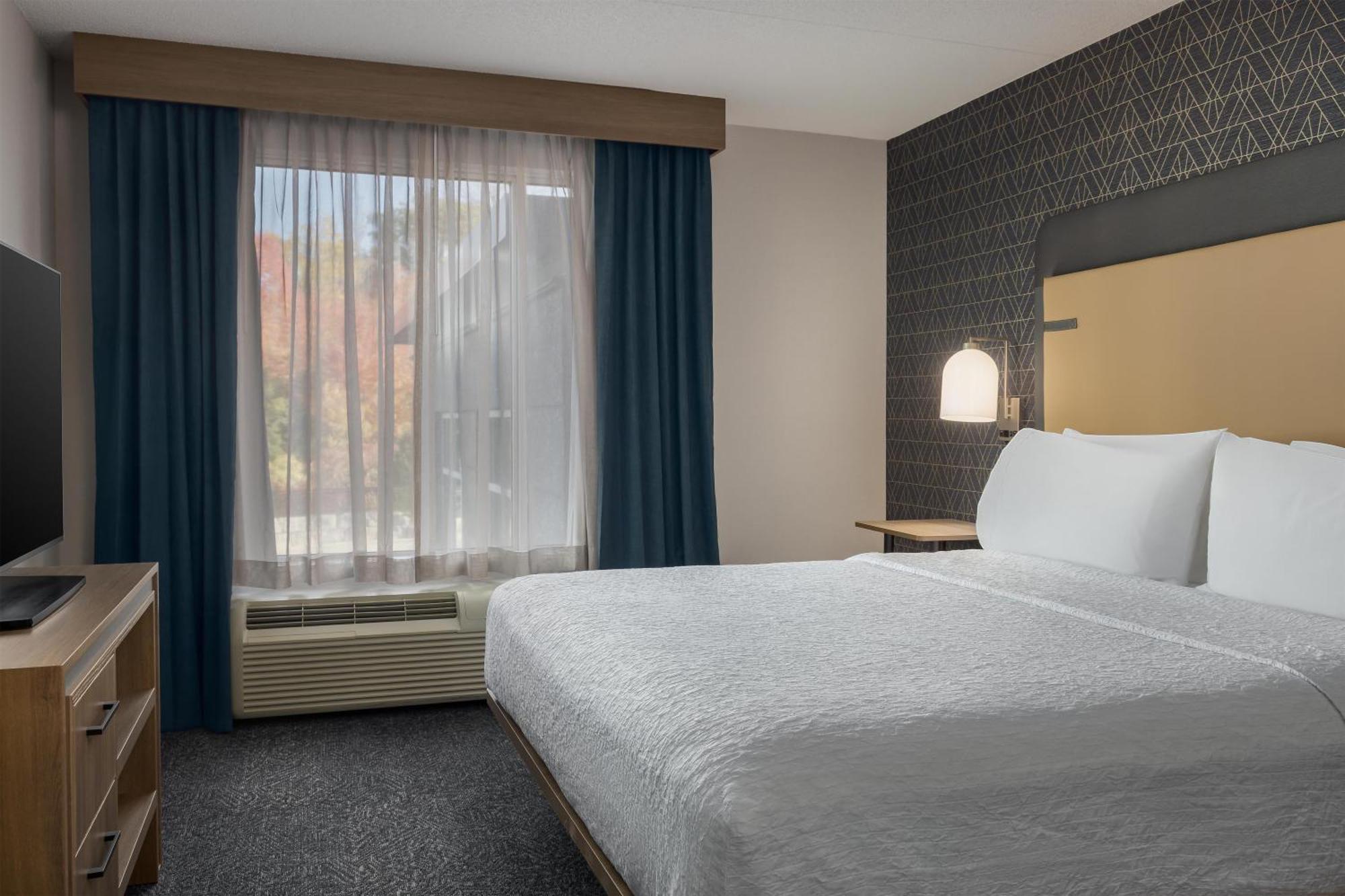 One-Bedroom King Suite Non-Smoking