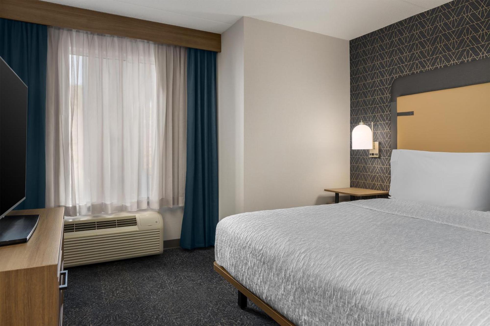 One-Bedroom King Suite Non-Smoking