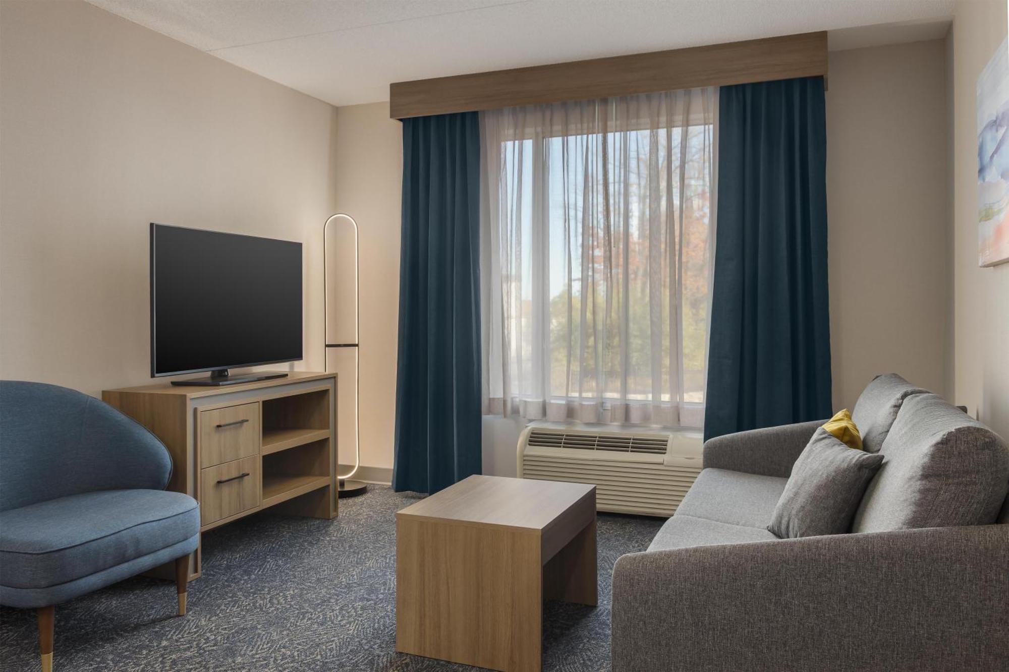 One-Bedroom King Suite Non-Smoking