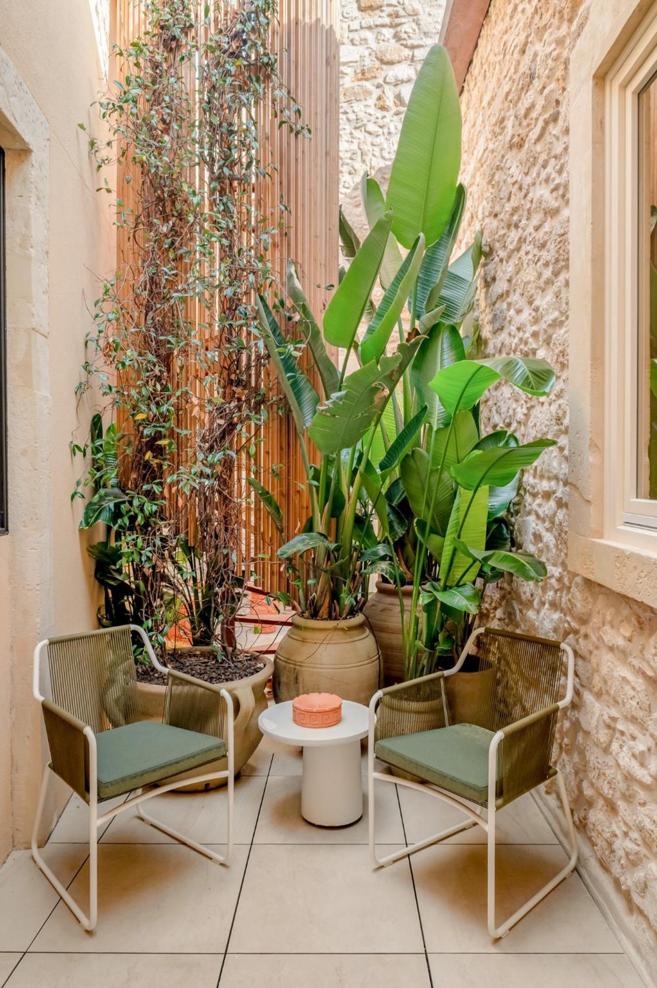 Suite Terrace
