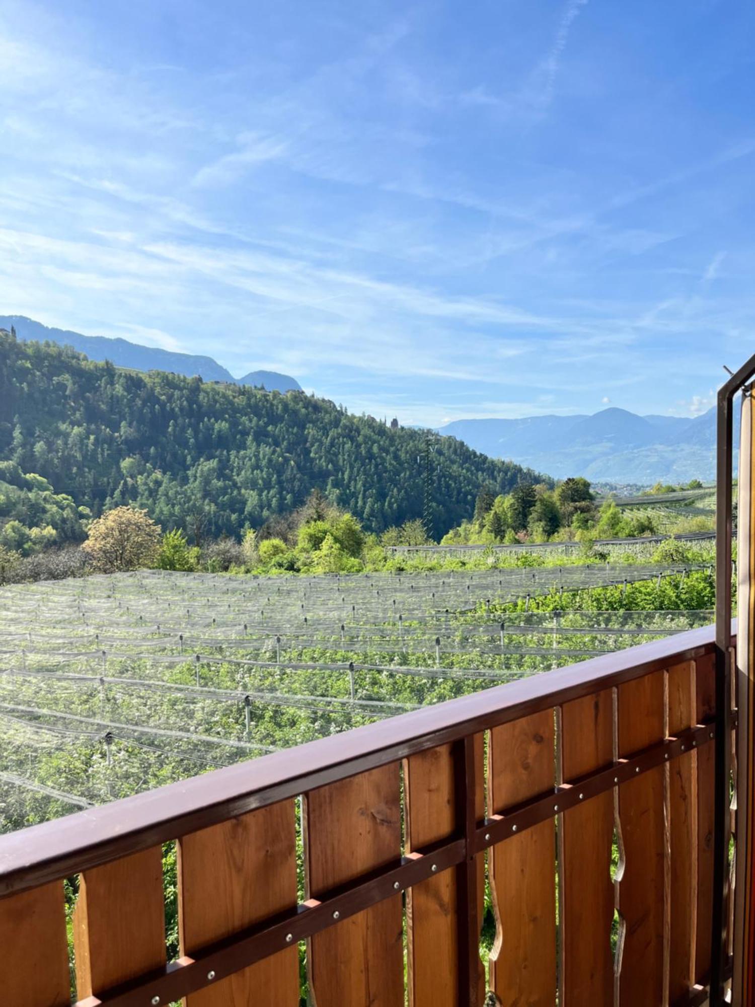 Double Room Mountain View