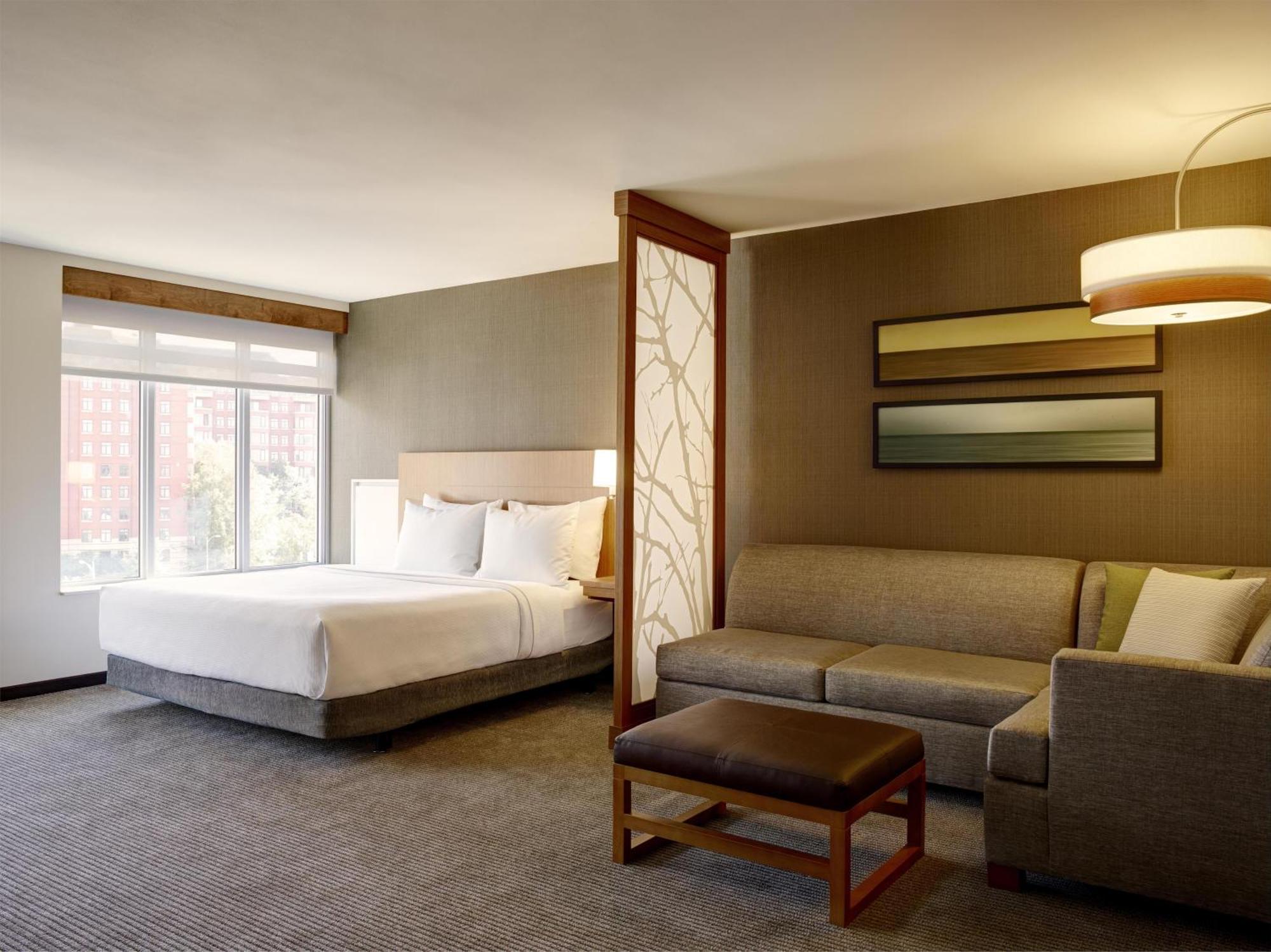 King Room Sofa Bed Accessible Tub High Floor