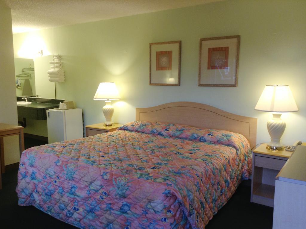 King Room,244694597:JPEG