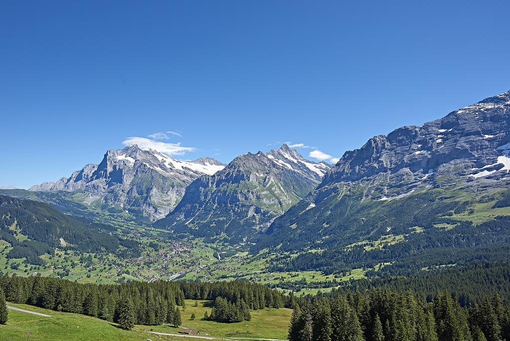 Deluxe Three-Bedroom Suite,553258428:JPEG