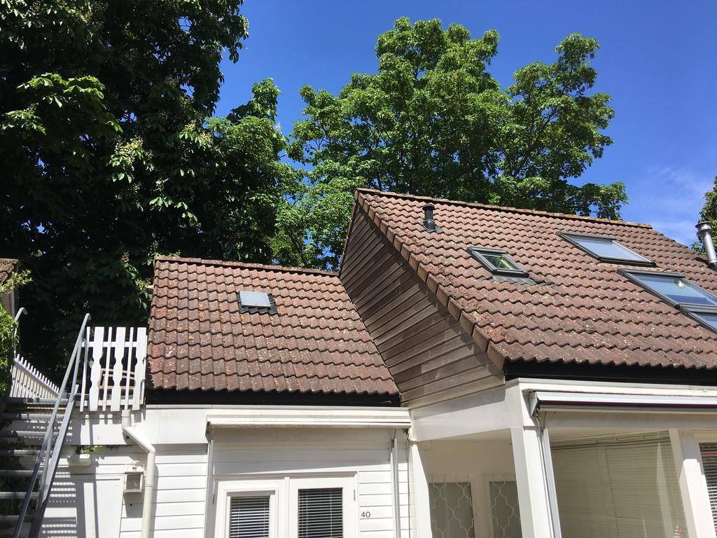 Family Room,770091136:JPEG