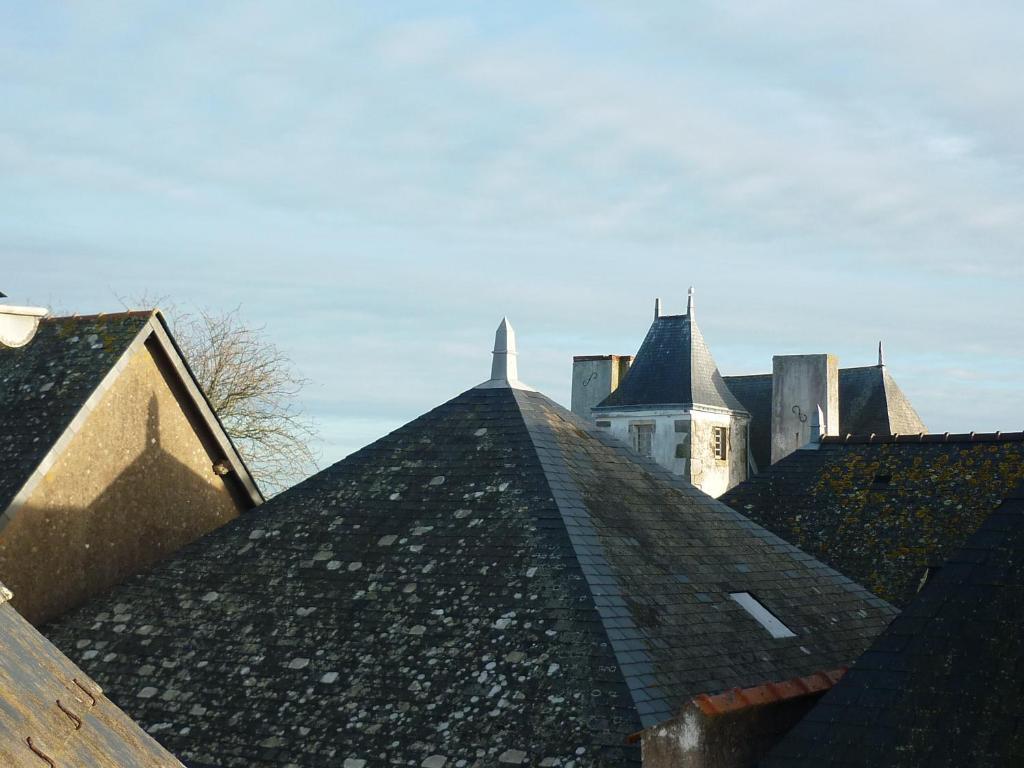 Standard Single Room,631188459:JPEG